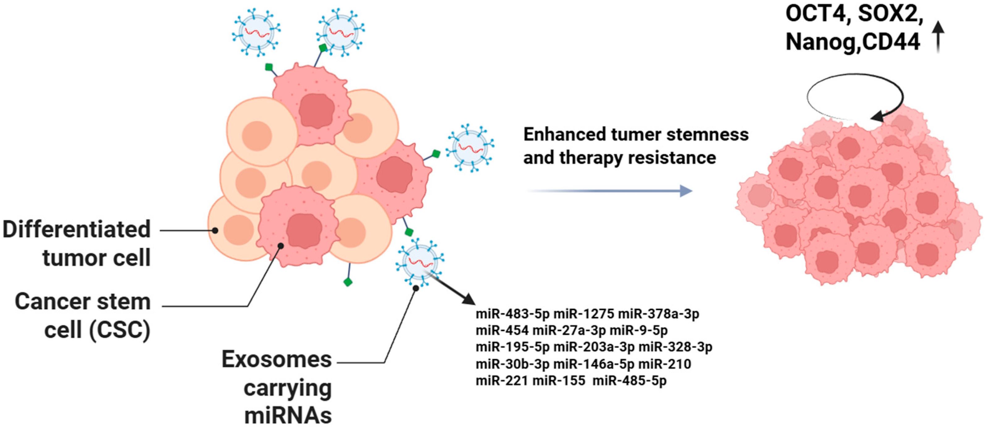 Ijms 26 09323 g003 Ijms 26 09323 g003