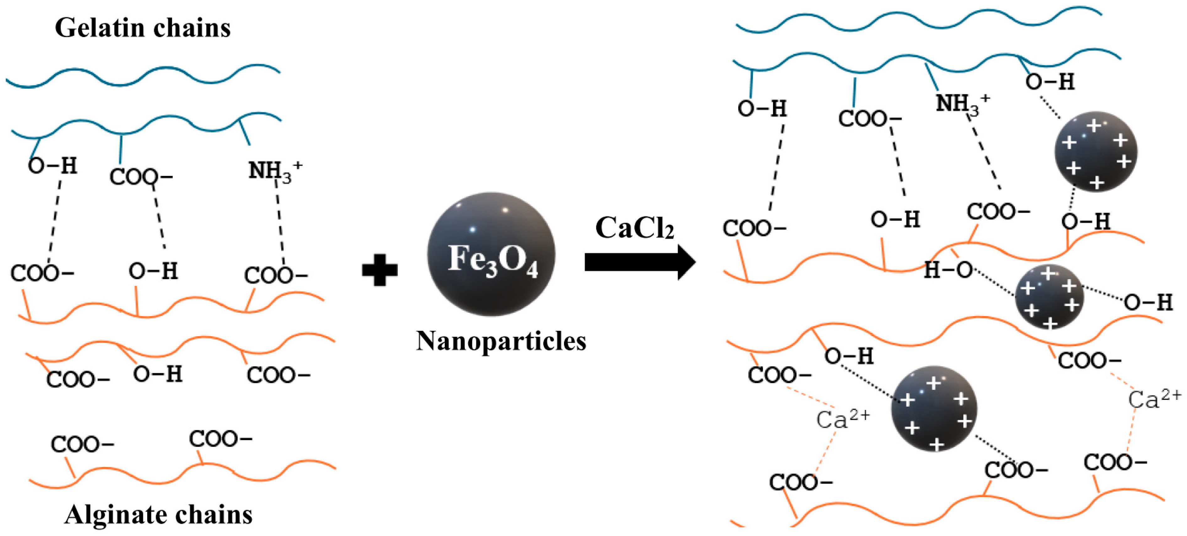 Ijms 26 09338 g012 Ijms 26 09338 g012