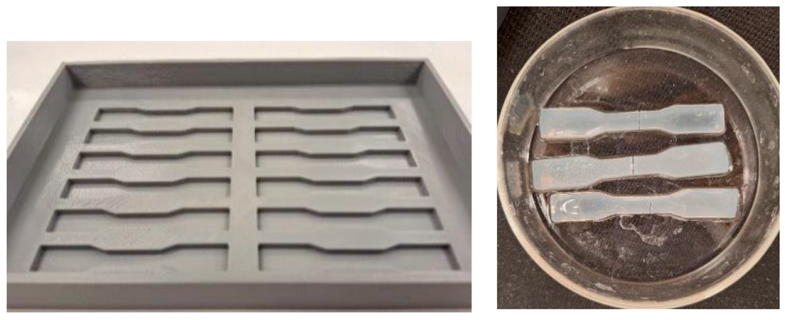 Ijms 26 09338 g013 Ijms 26 09338 g013