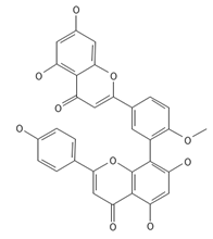 Ijms 26 09341 i035 Ijms 26 09341 i035