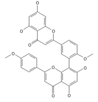 Ijms 26 09341 i038 Ijms 26 09341 i038