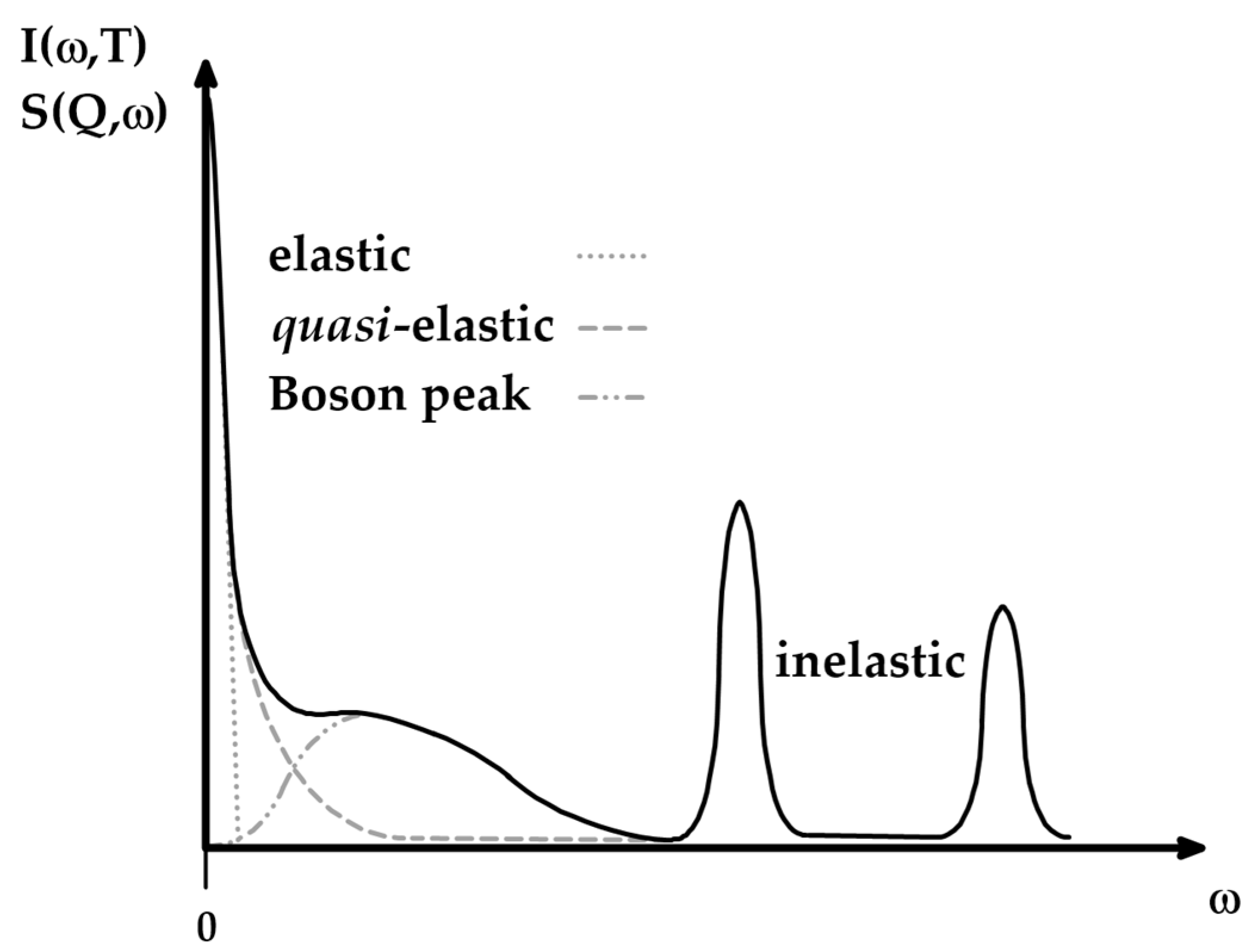 Ijms 26 09342 g007 Ijms 26 09342 g007