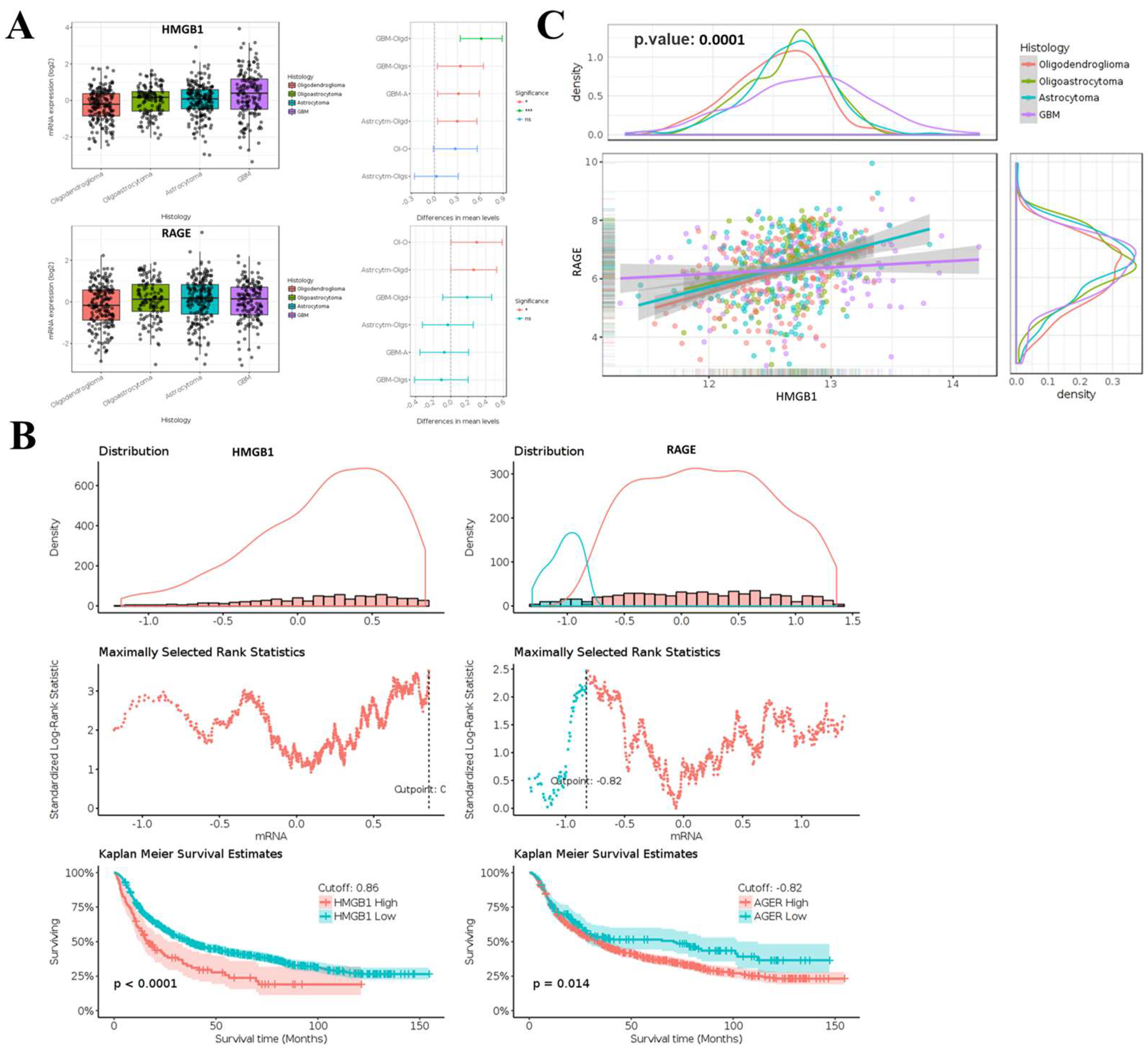 Ijms 26 09352 g001 Ijms 26 09352 g001