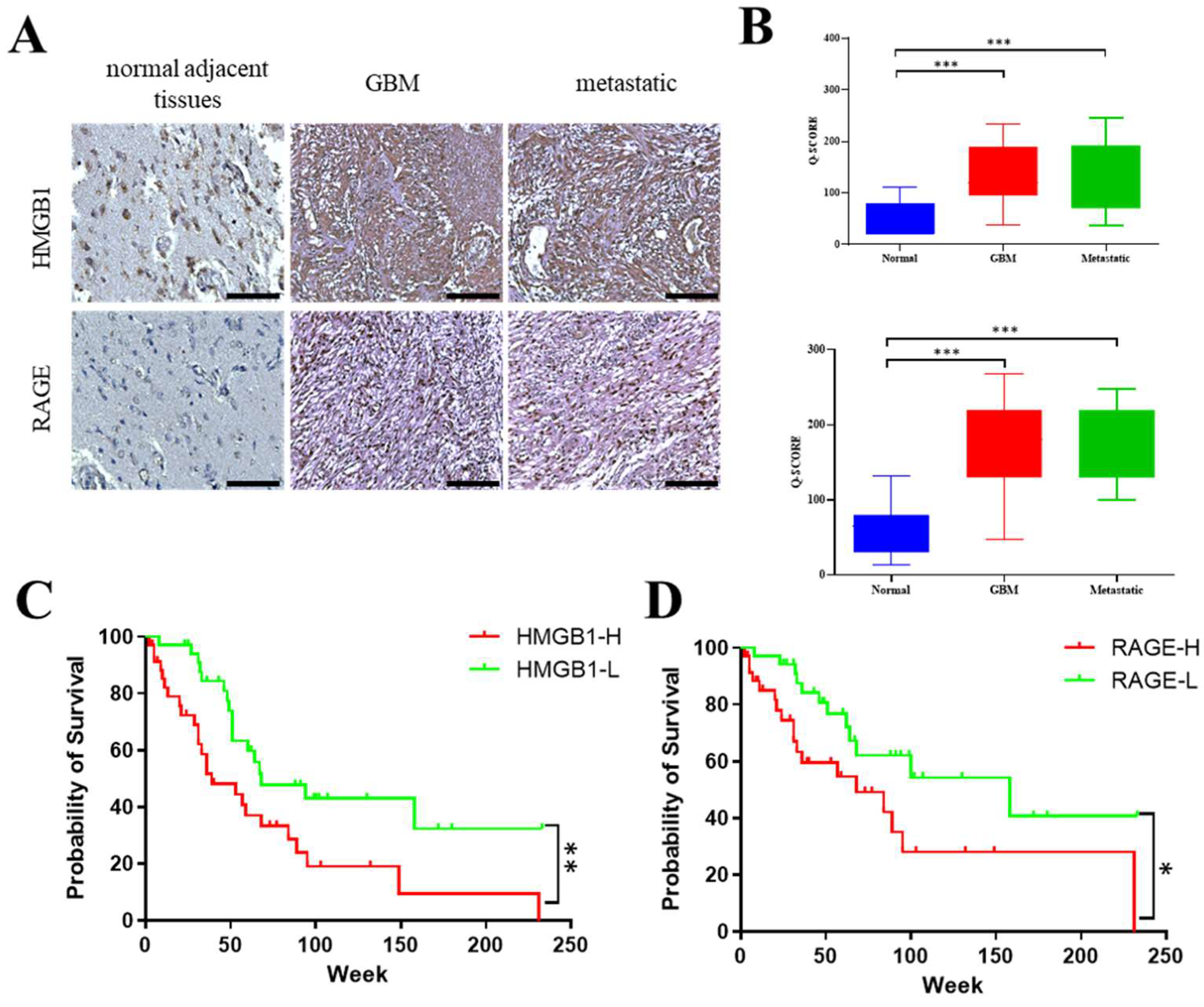 Ijms 26 09352 g002 Ijms 26 09352 g002