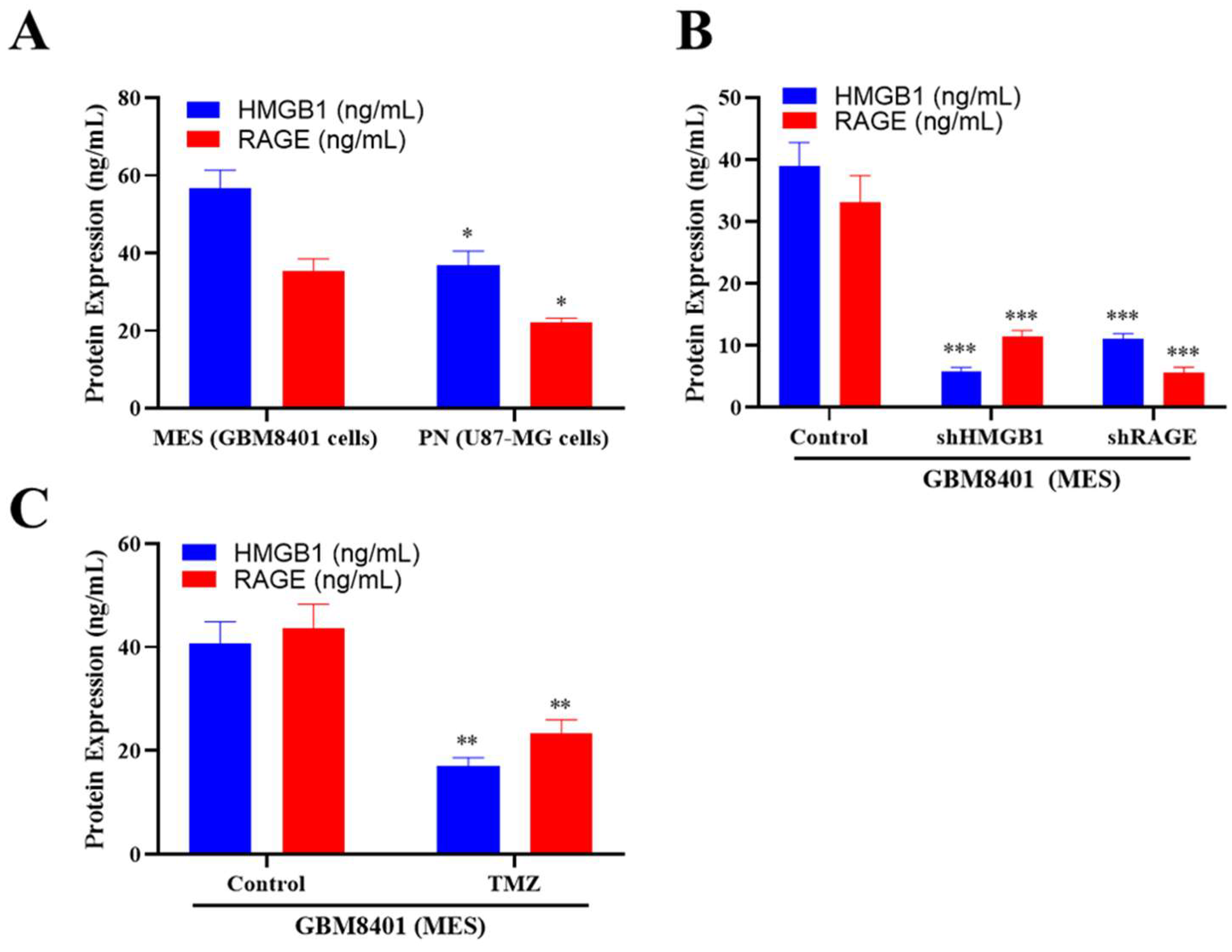 Ijms 26 09352 g004 Ijms 26 09352 g004