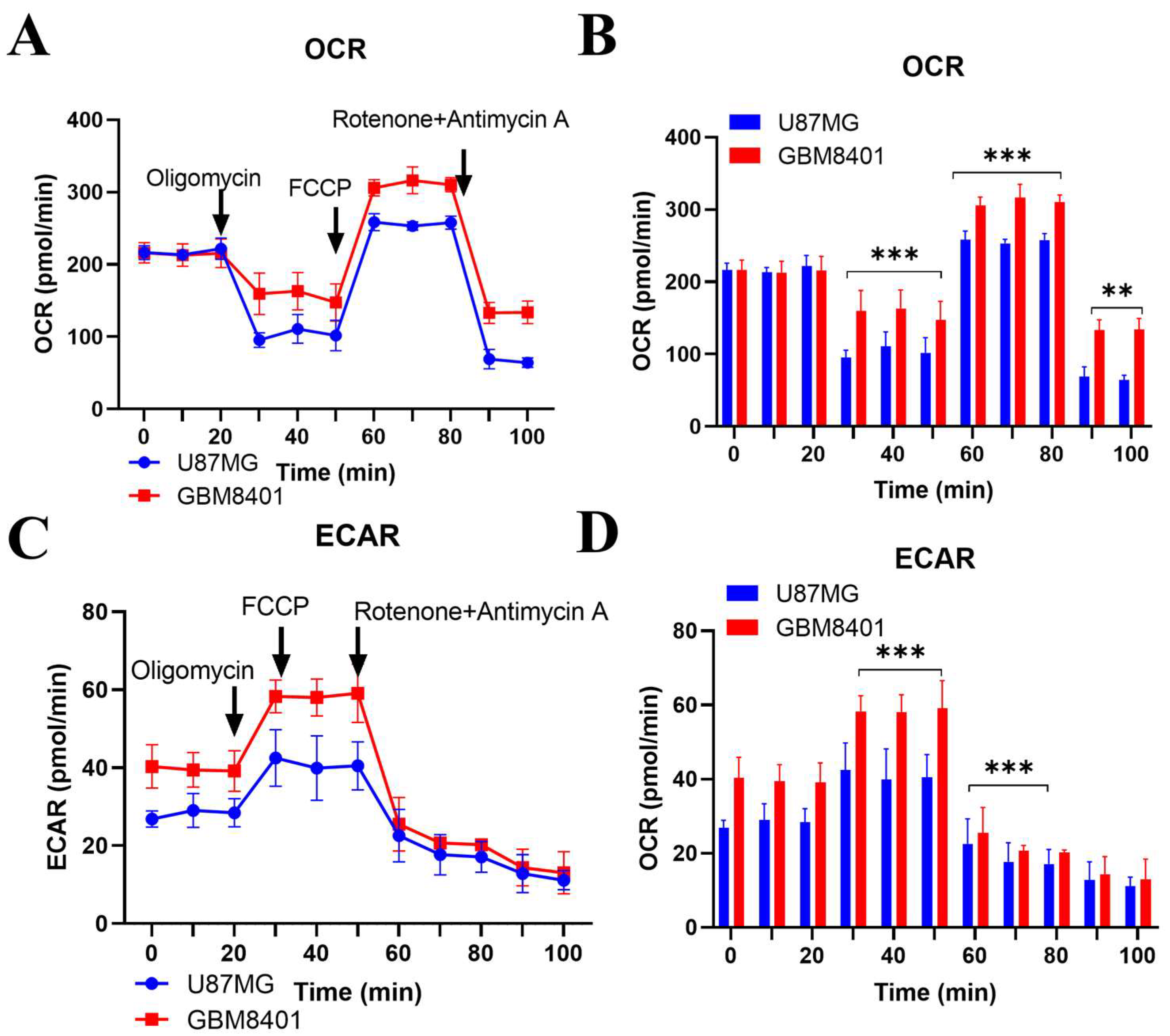 Ijms 26 09352 g005 Ijms 26 09352 g005
