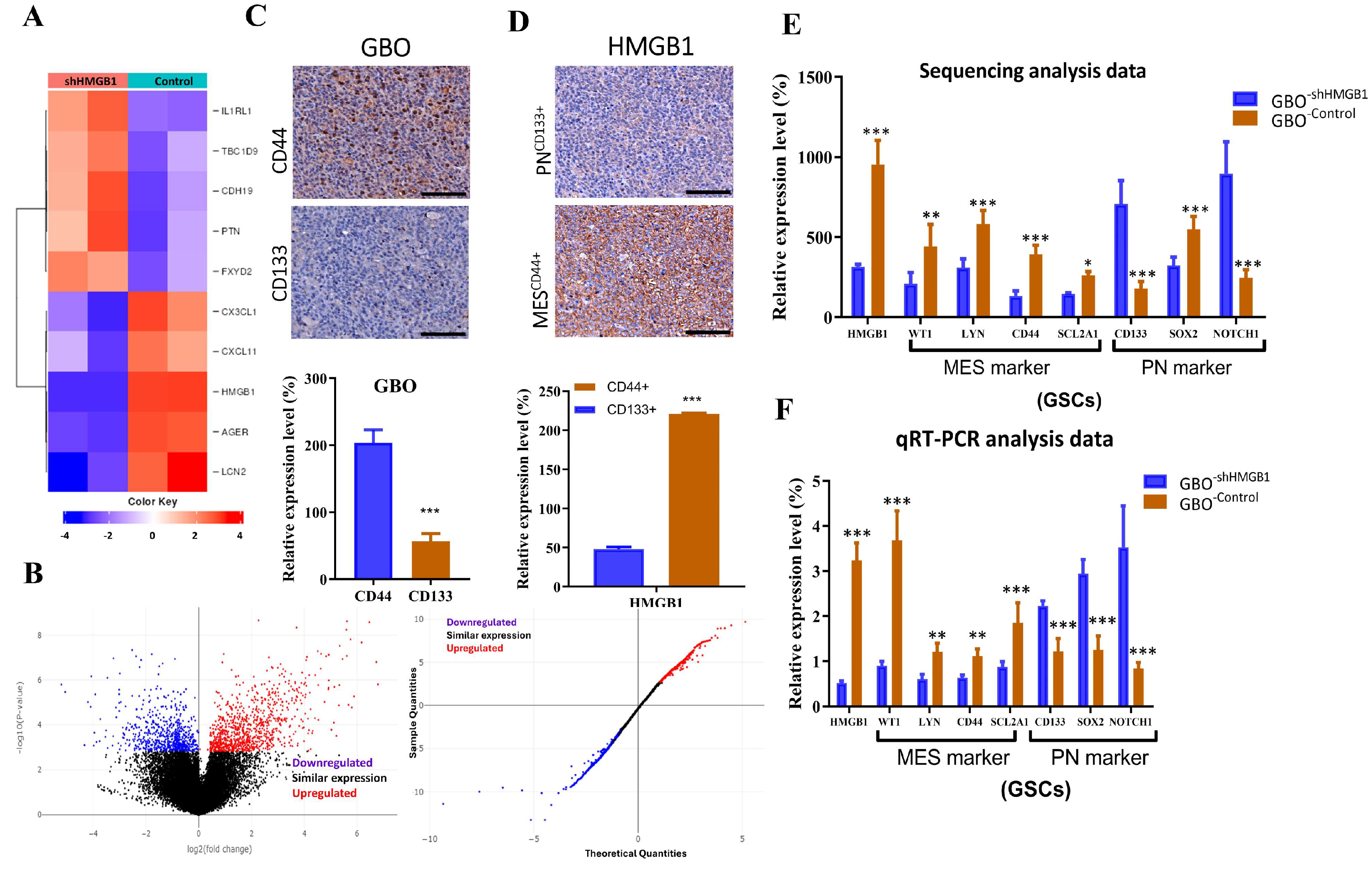 Ijms 26 09352 g007 Ijms 26 09352 g007