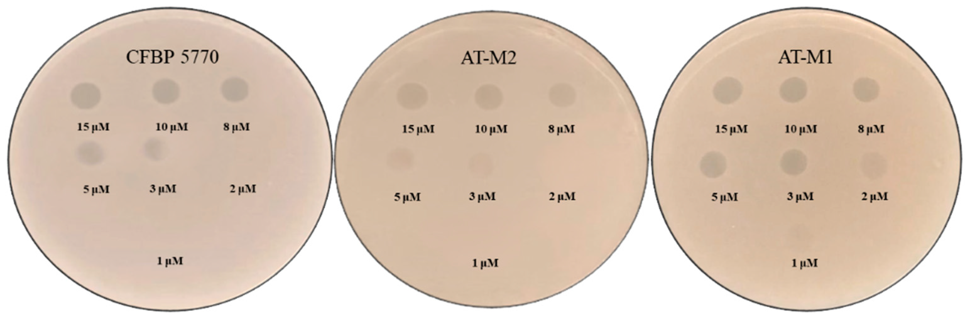 Ijms 26 09355 g005 Ijms 26 09355 g005