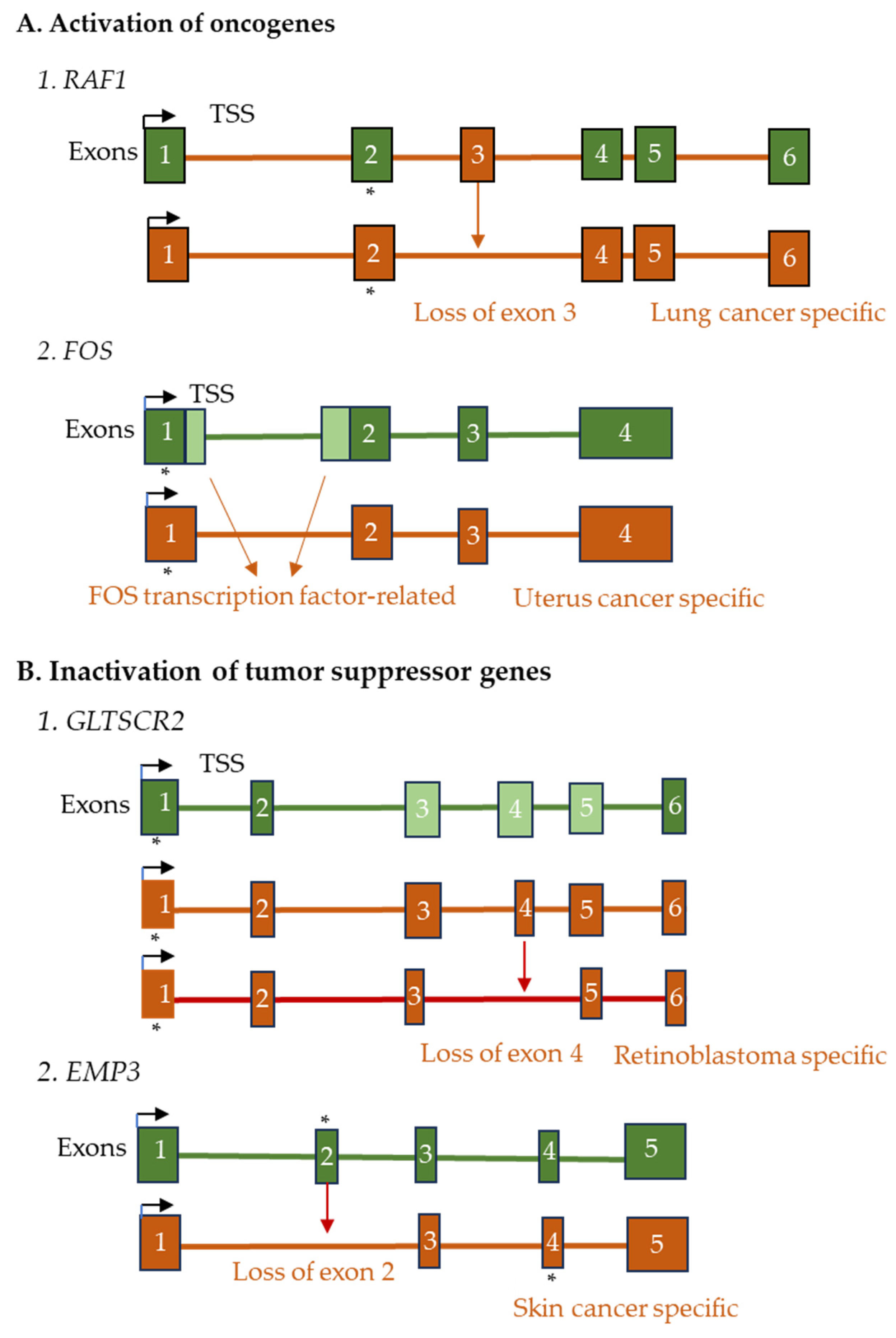Ijms 26 09356 g003 Ijms 26 09356 g003