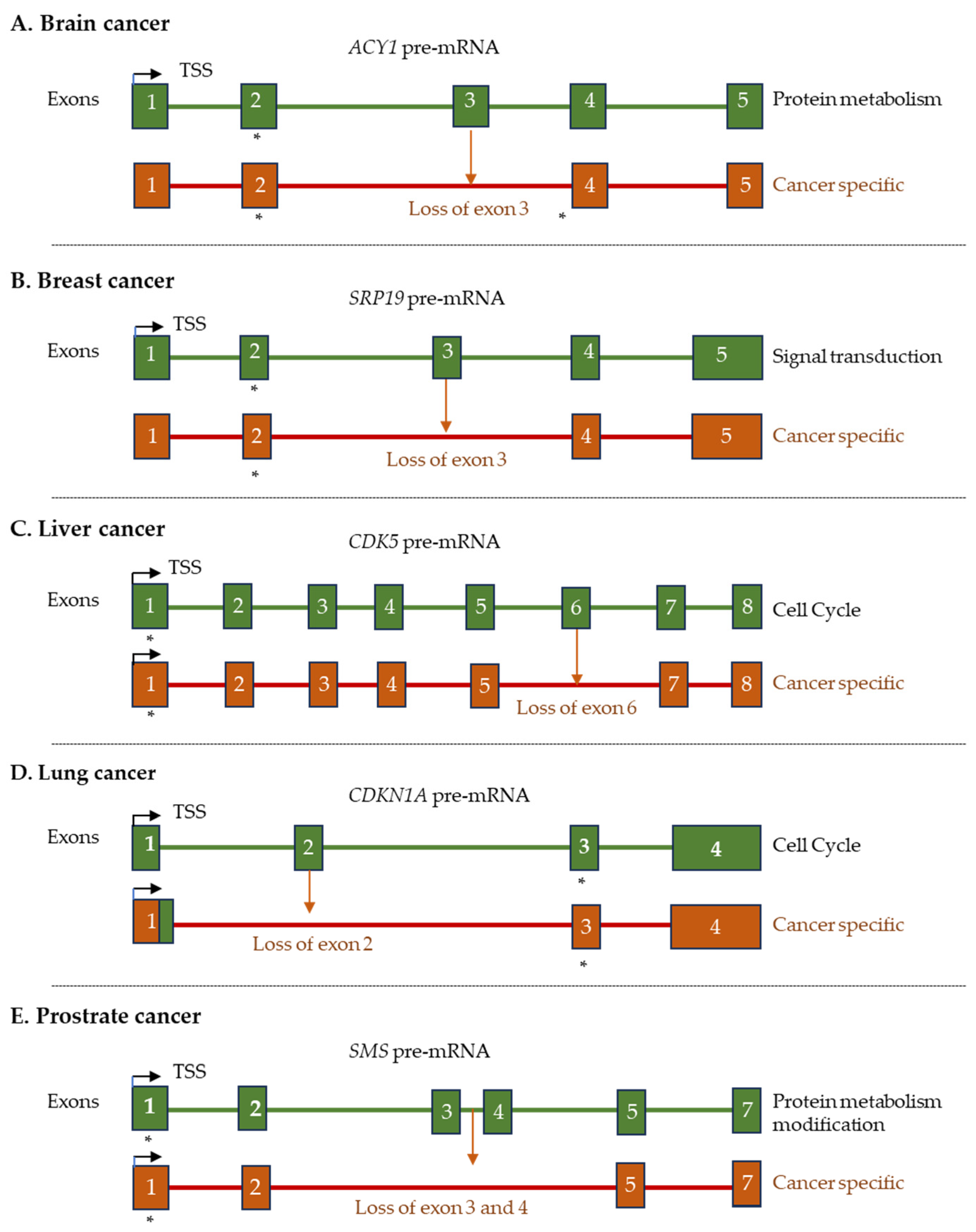 Ijms 26 09356 g004 Ijms 26 09356 g004