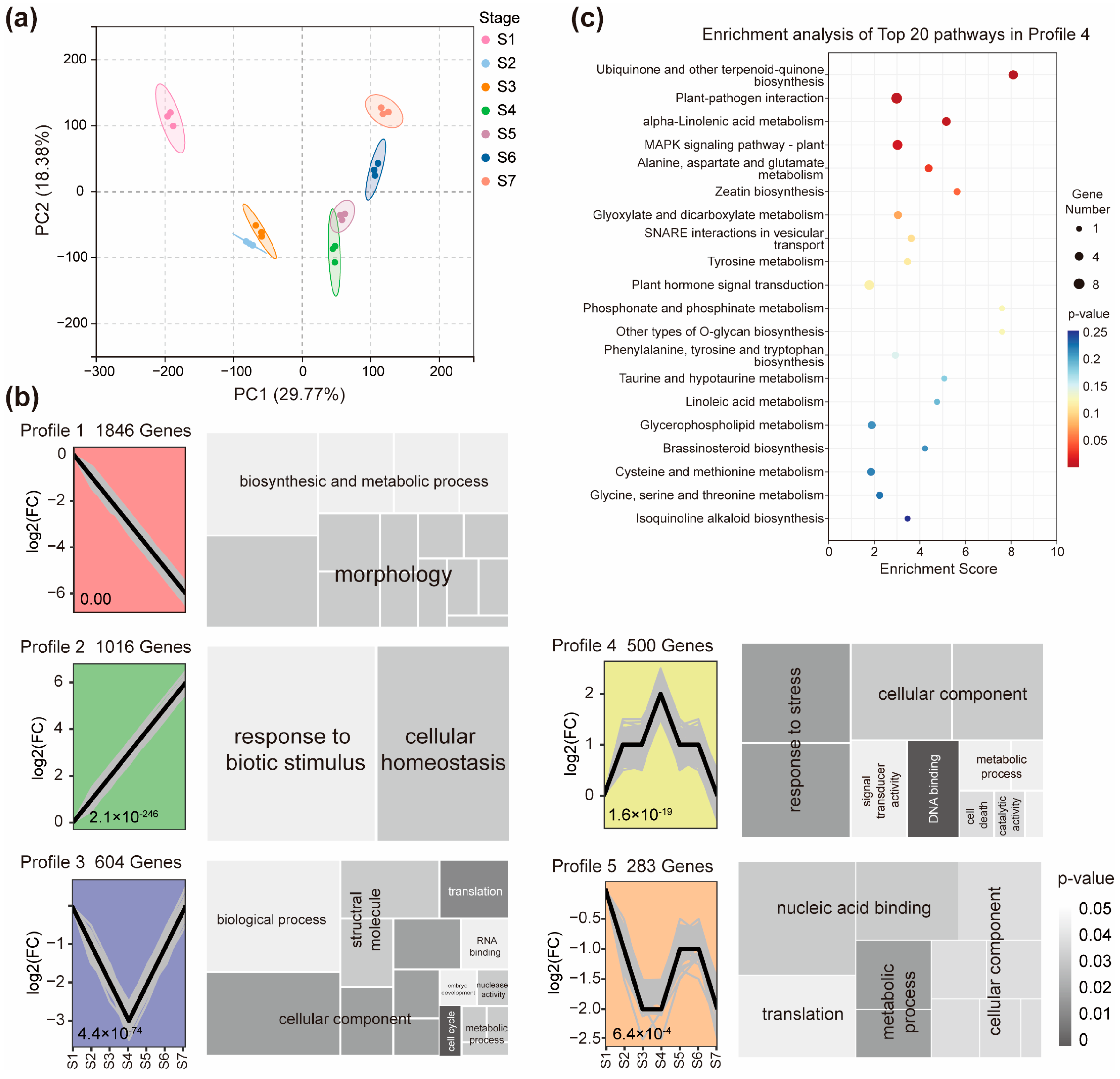 Ijms 26 09357 g002 Ijms 26 09357 g002