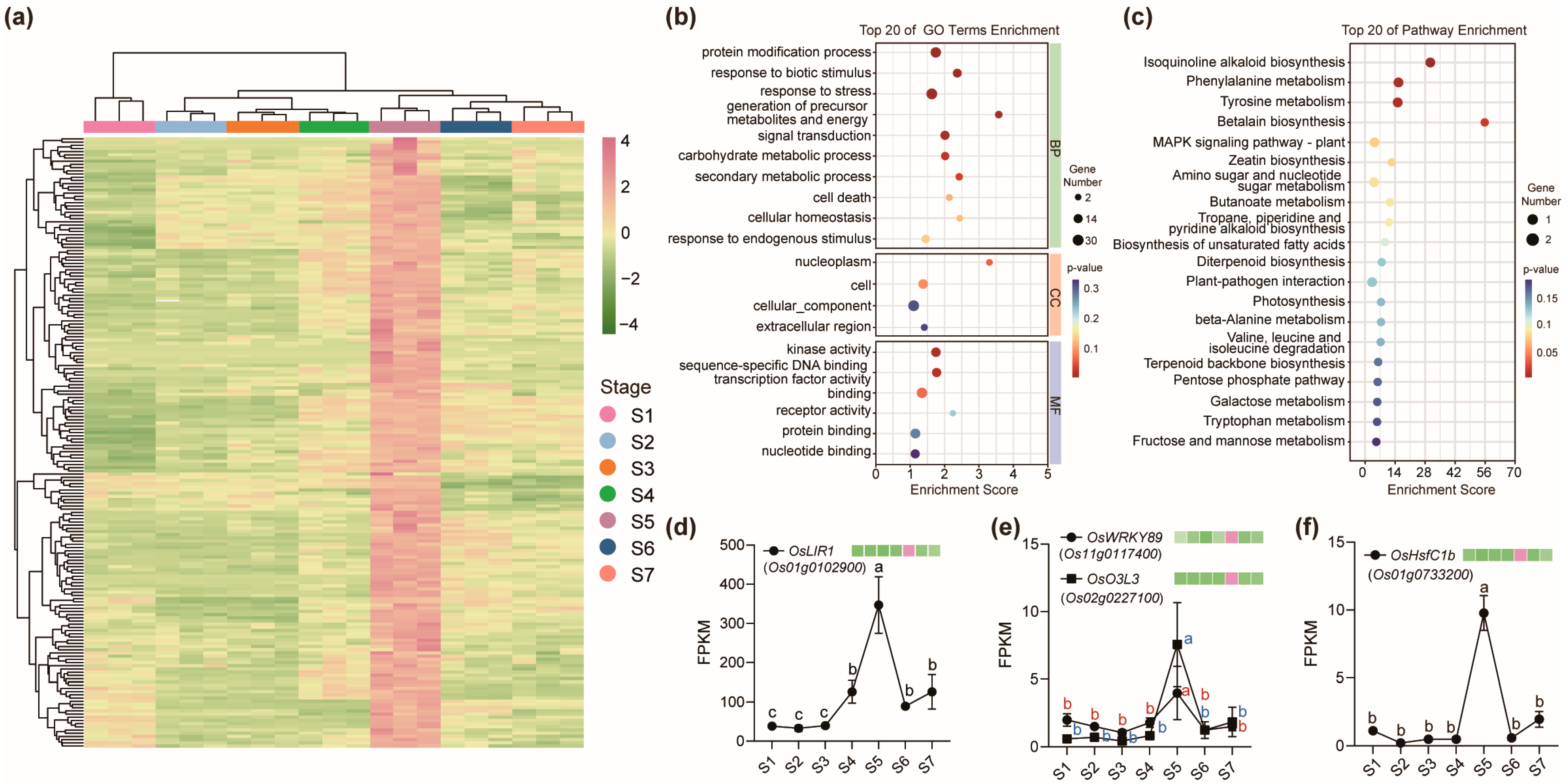 Ijms 26 09357 g004 Ijms 26 09357 g004