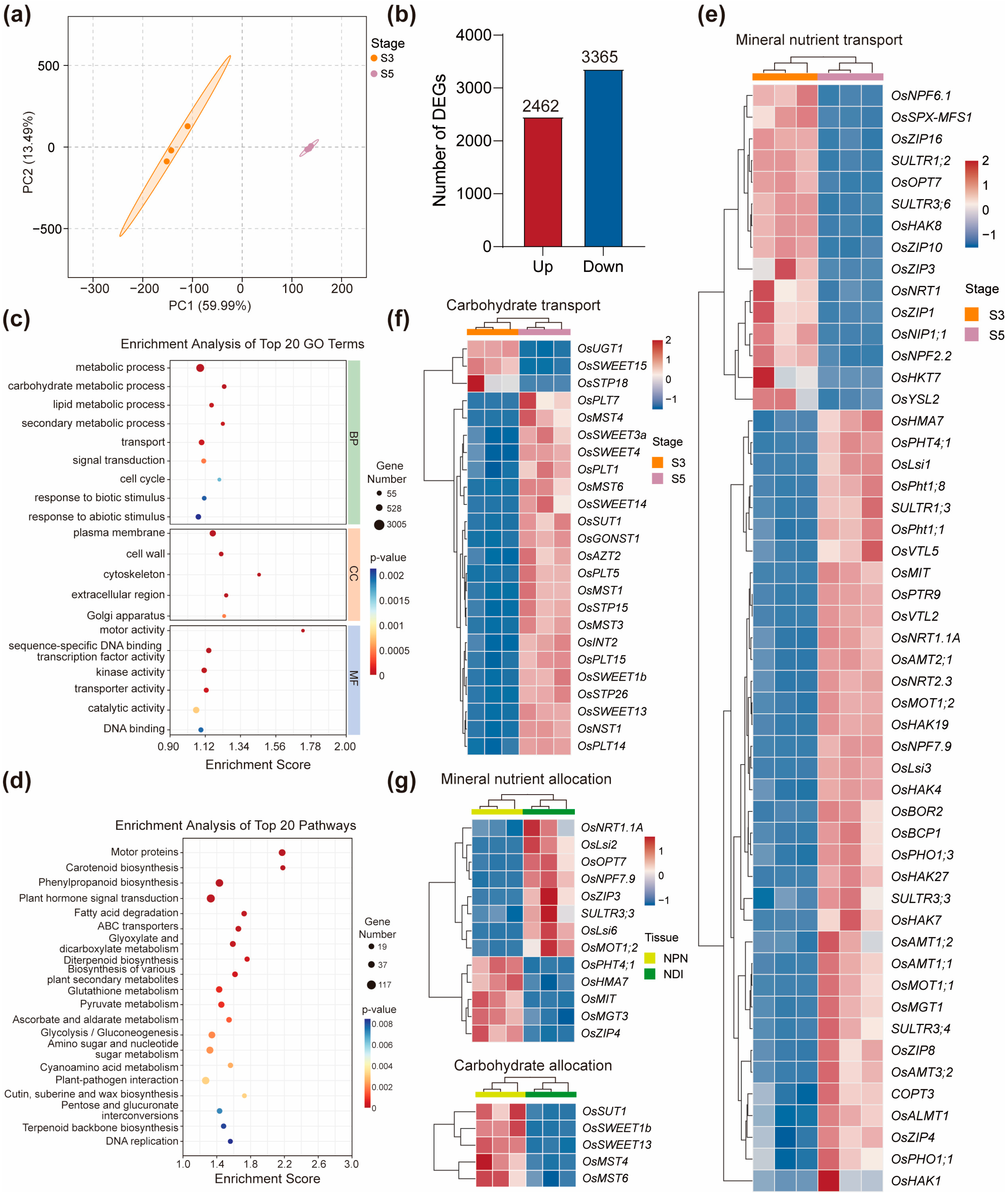Ijms 26 09357 g006 Ijms 26 09357 g006
