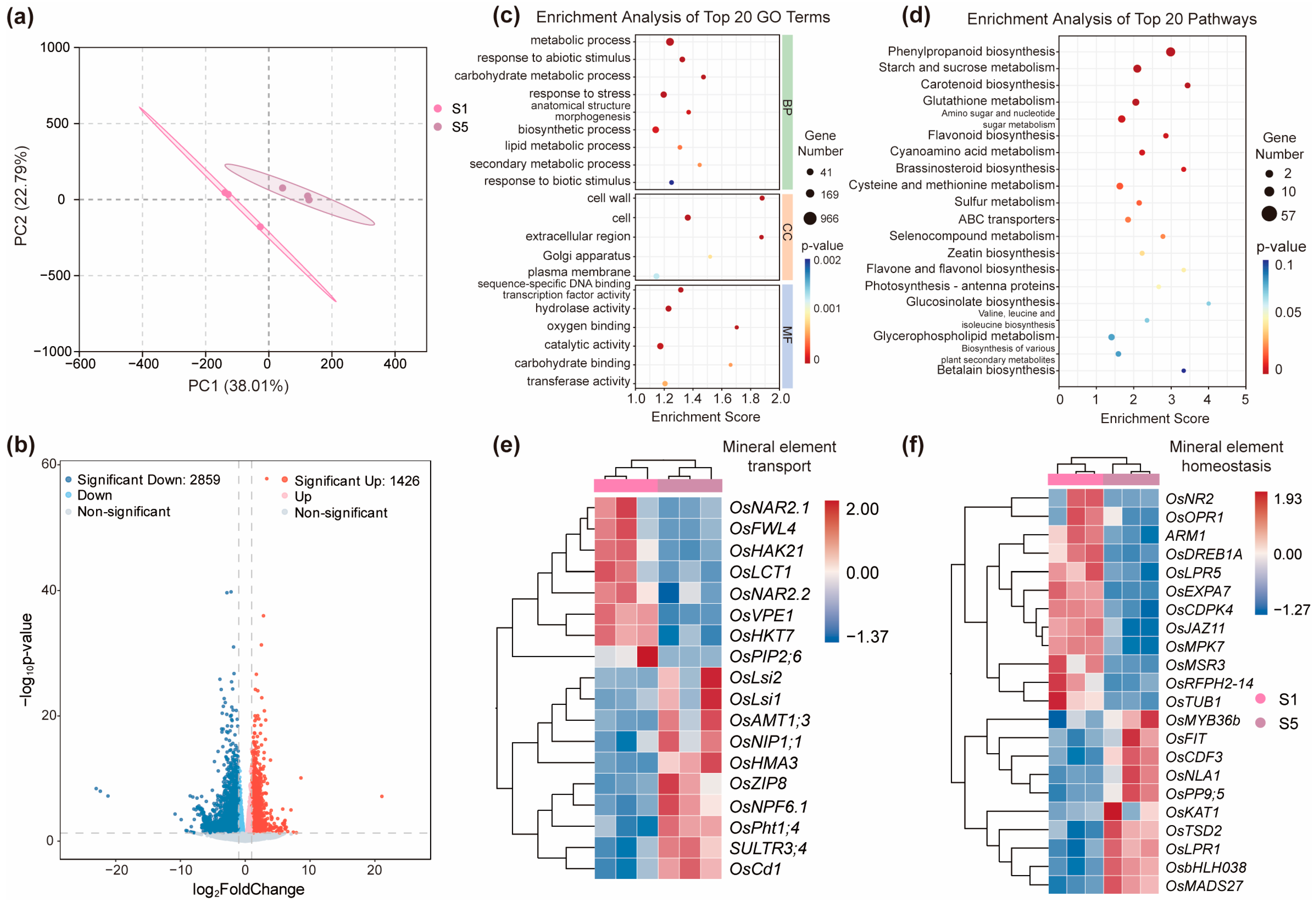 Ijms 26 09357 g007 Ijms 26 09357 g007