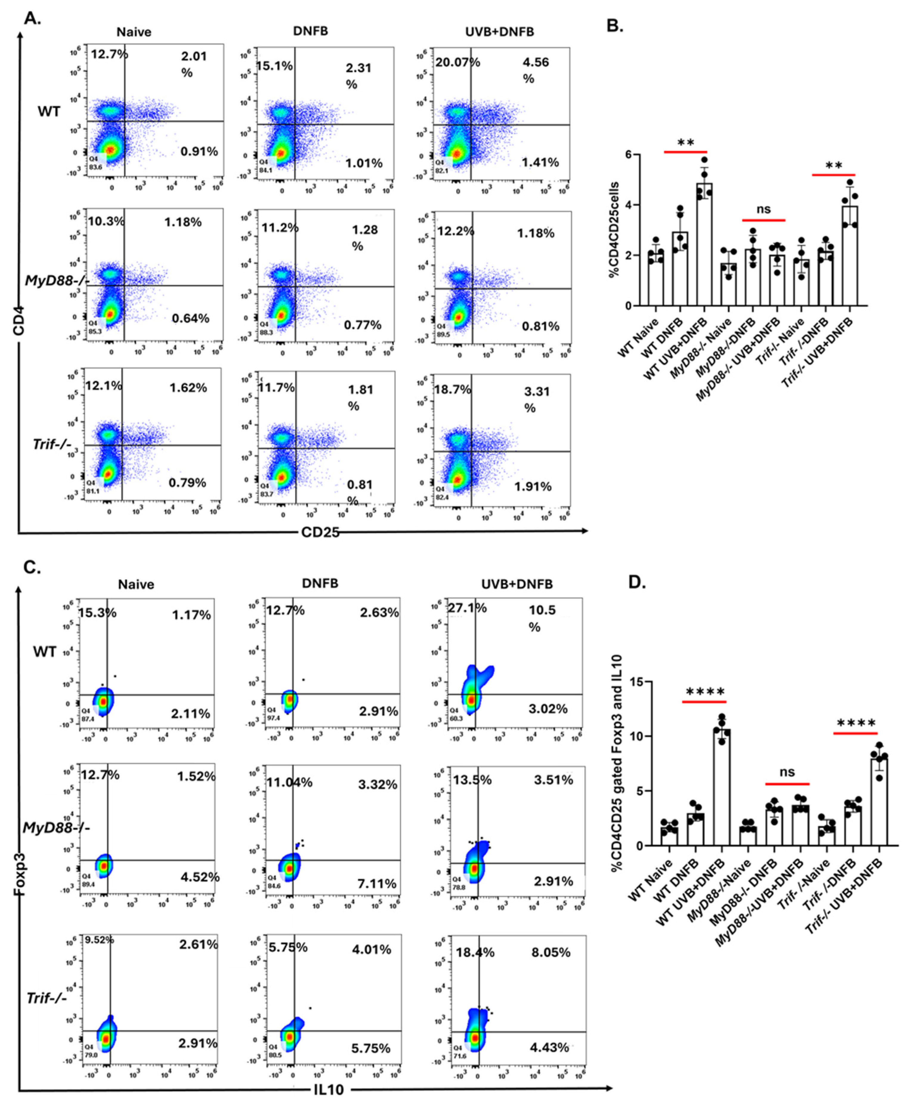 Ijms 26 09361 g002 Ijms 26 09361 g002
