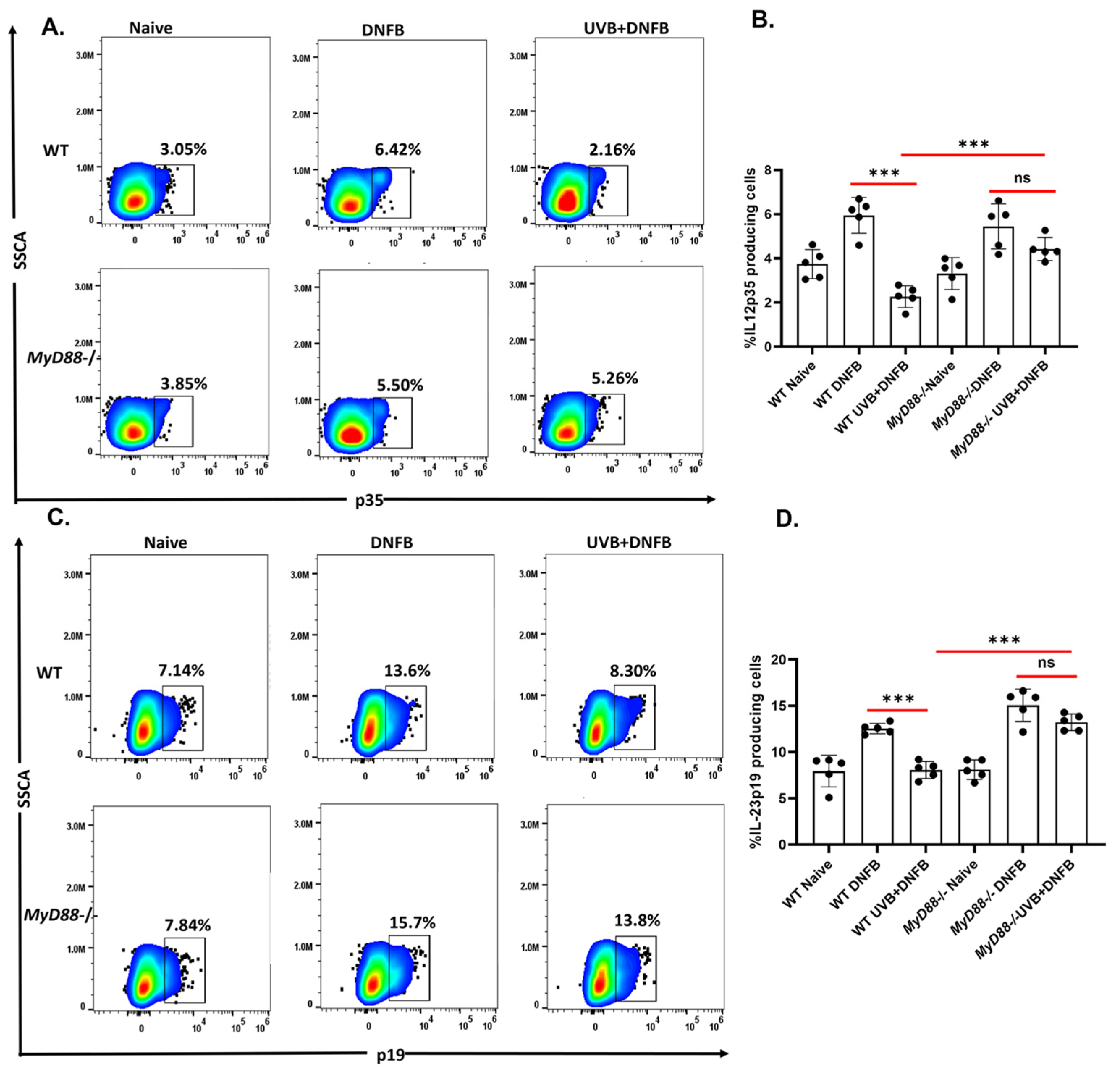 Ijms 26 09361 g003 Ijms 26 09361 g003