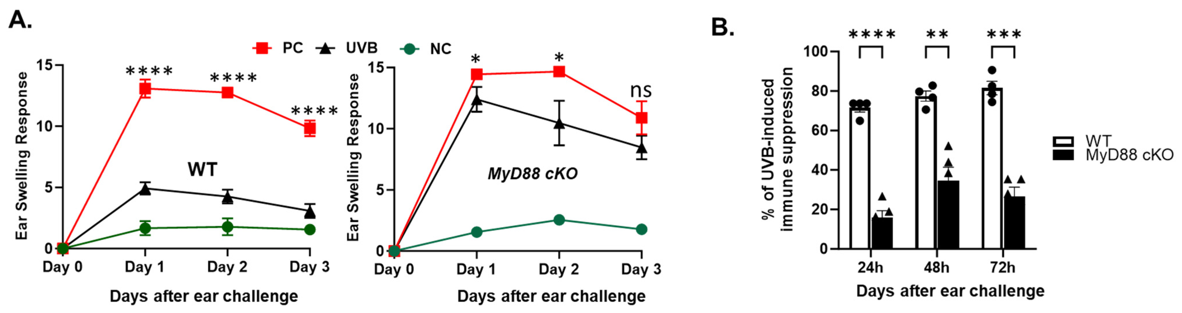 Ijms 26 09361 g004 Ijms 26 09361 g004