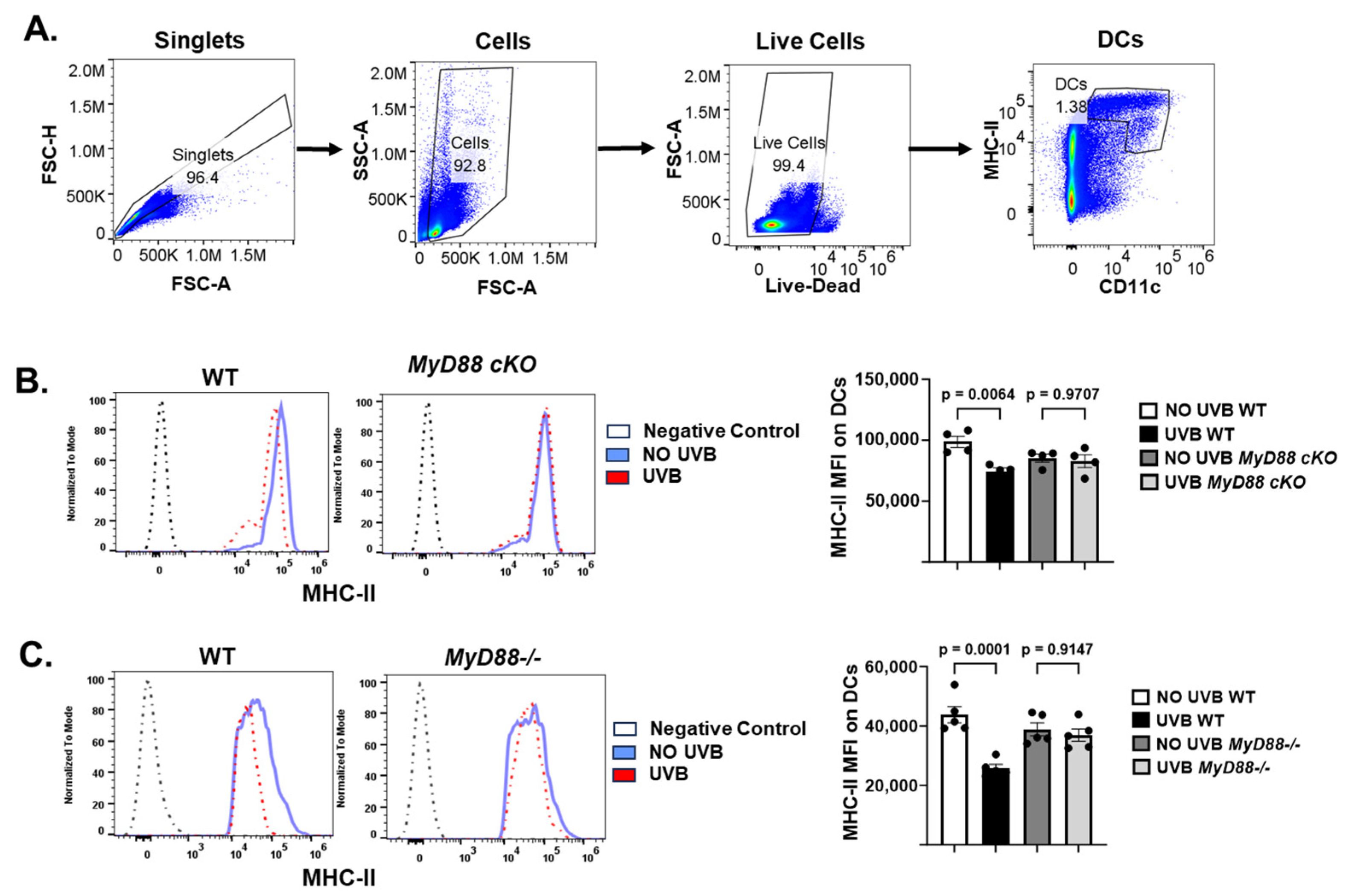 Ijms 26 09361 g005 Ijms 26 09361 g005