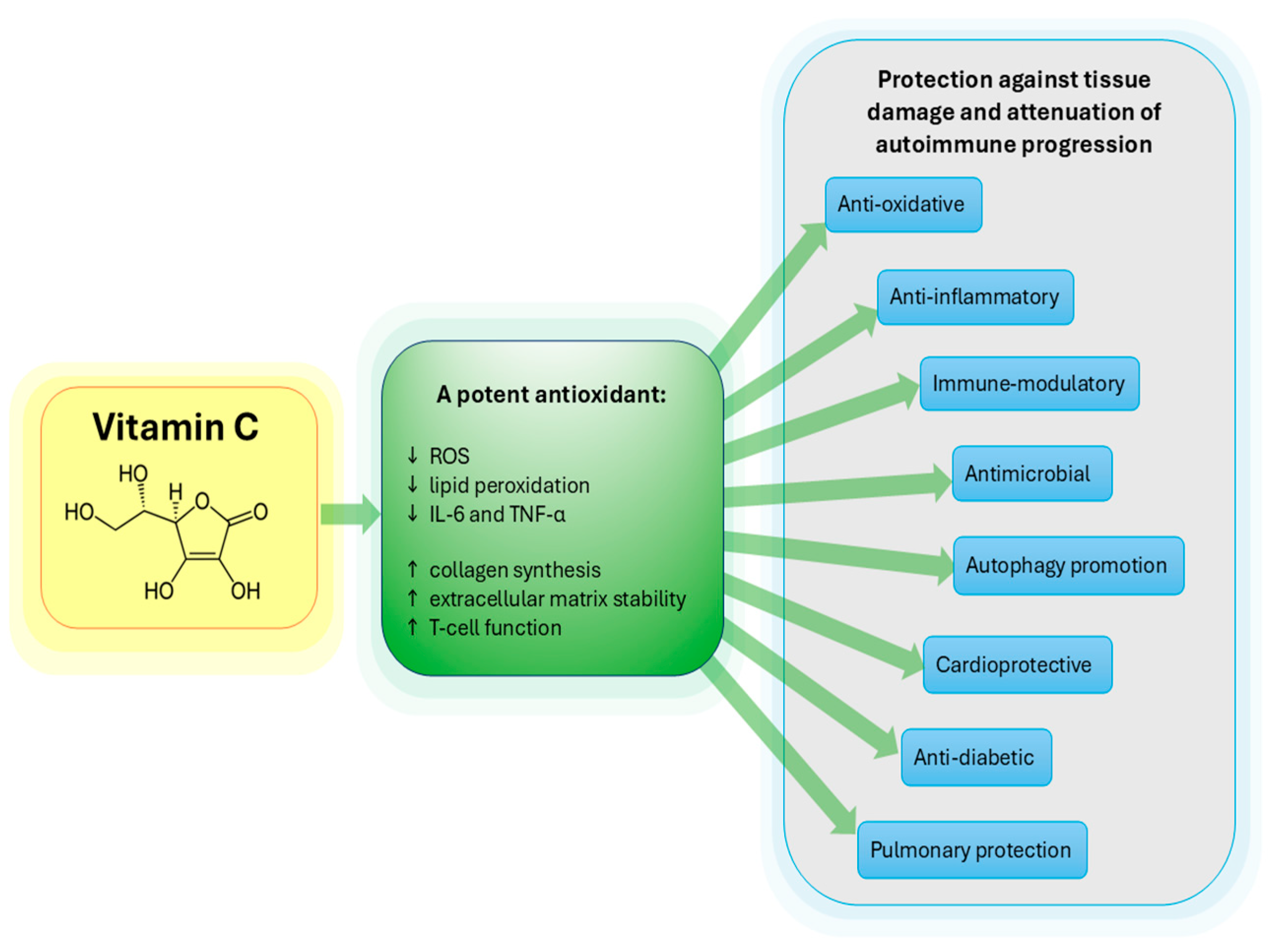 Ijms 26 09375 g001 Ijms 26 09375 g001