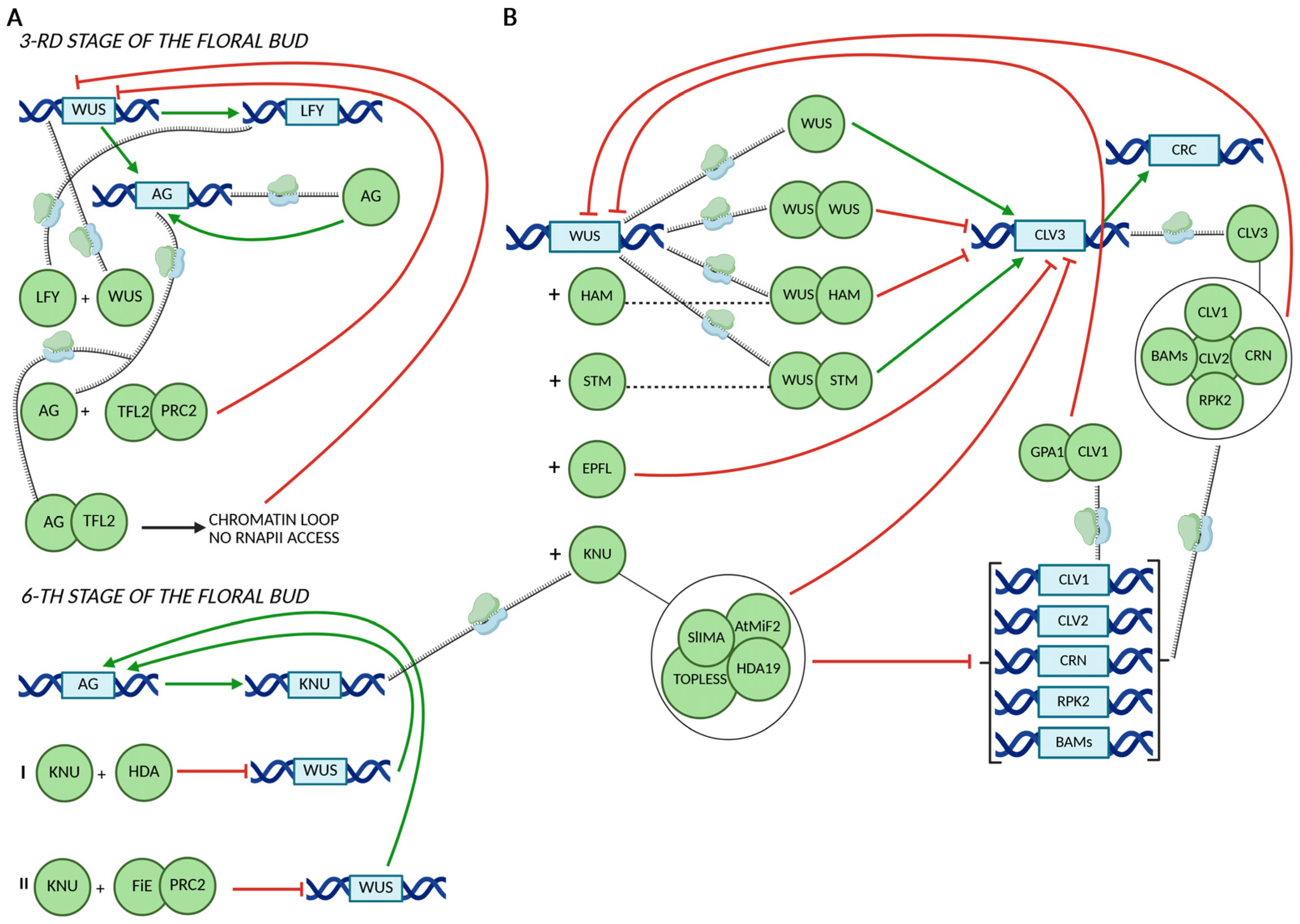 Ijms 26 09377 g003 Ijms 26 09377 g003