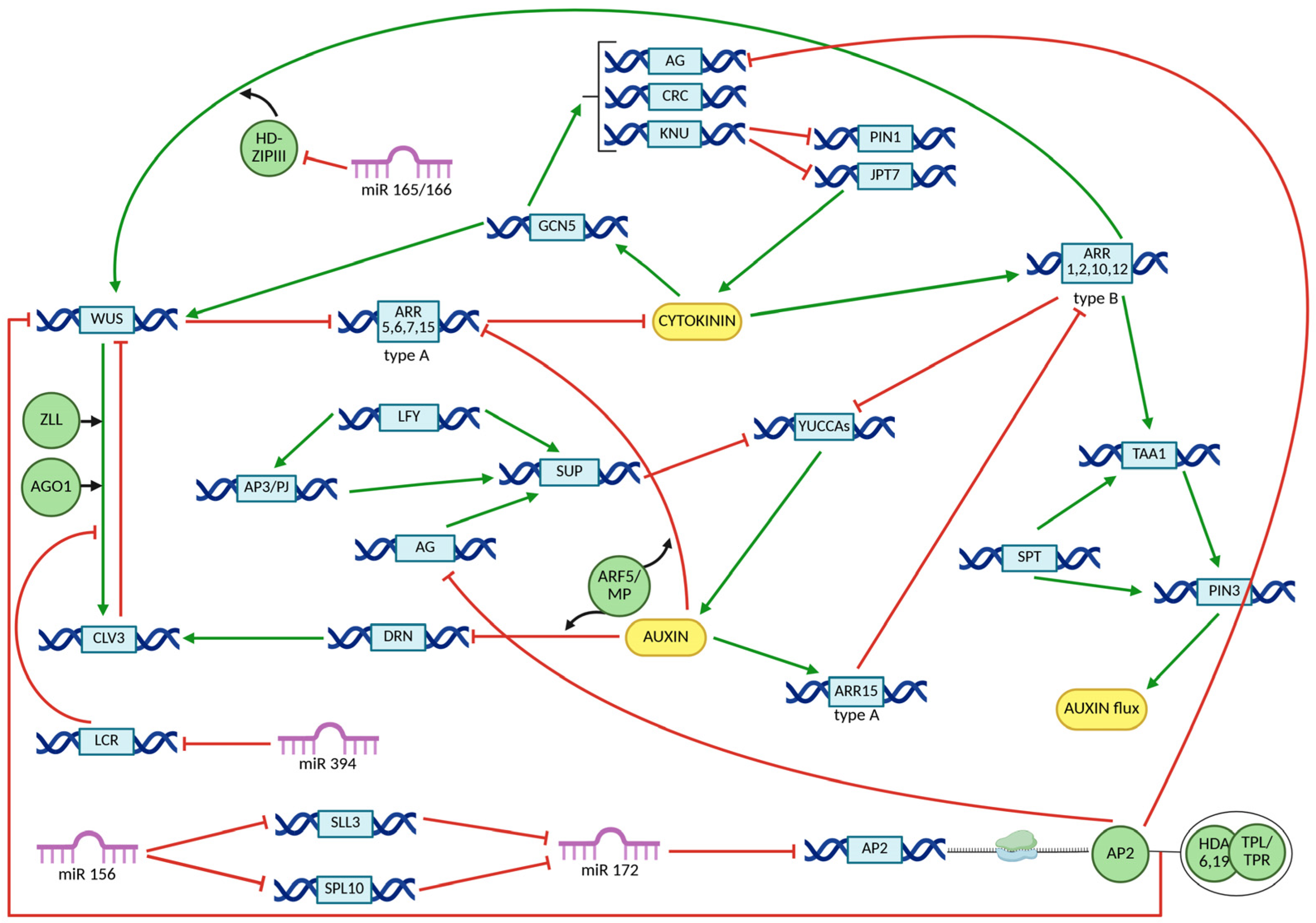 Ijms 26 09377 g005 Ijms 26 09377 g005