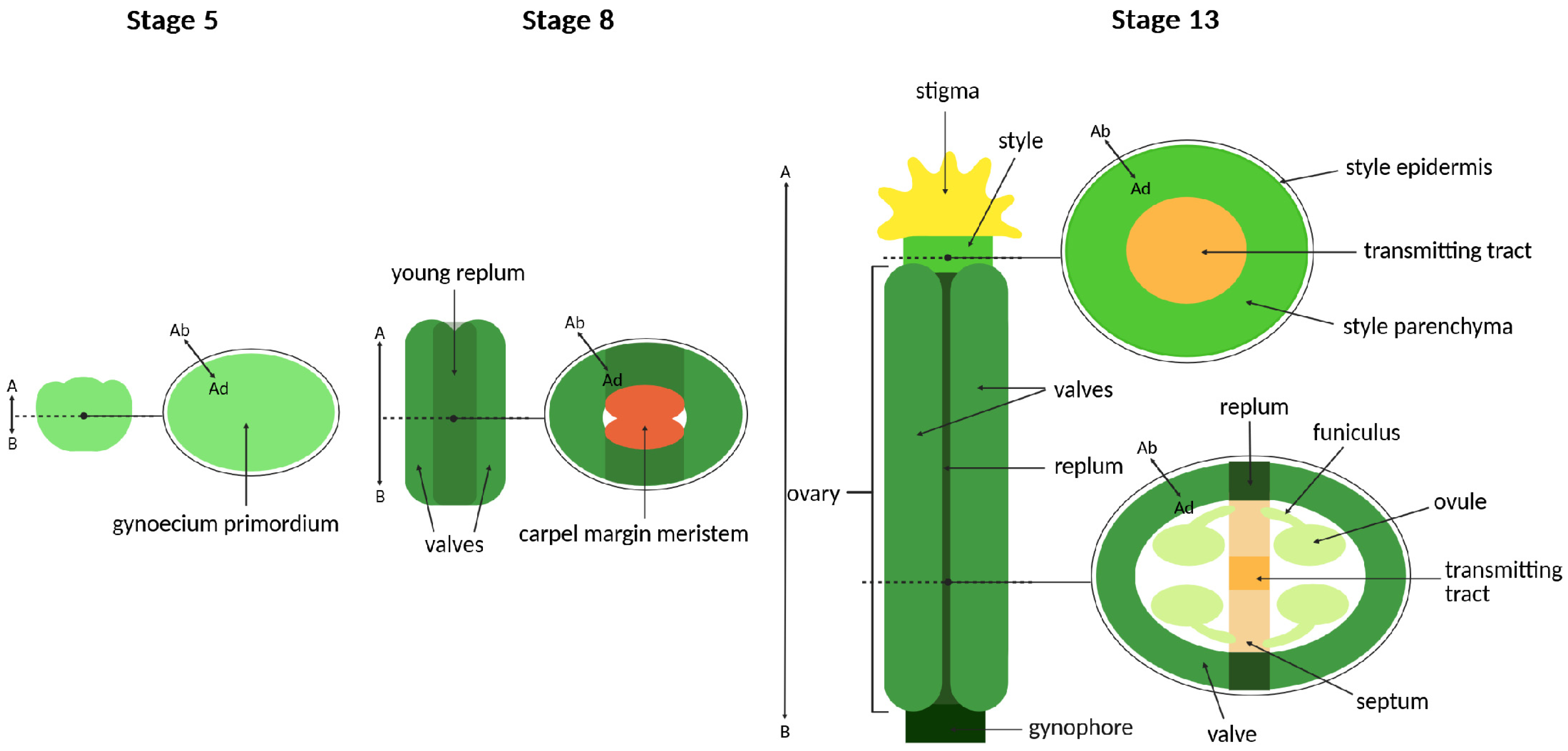 Ijms 26 09377 g006 Ijms 26 09377 g006