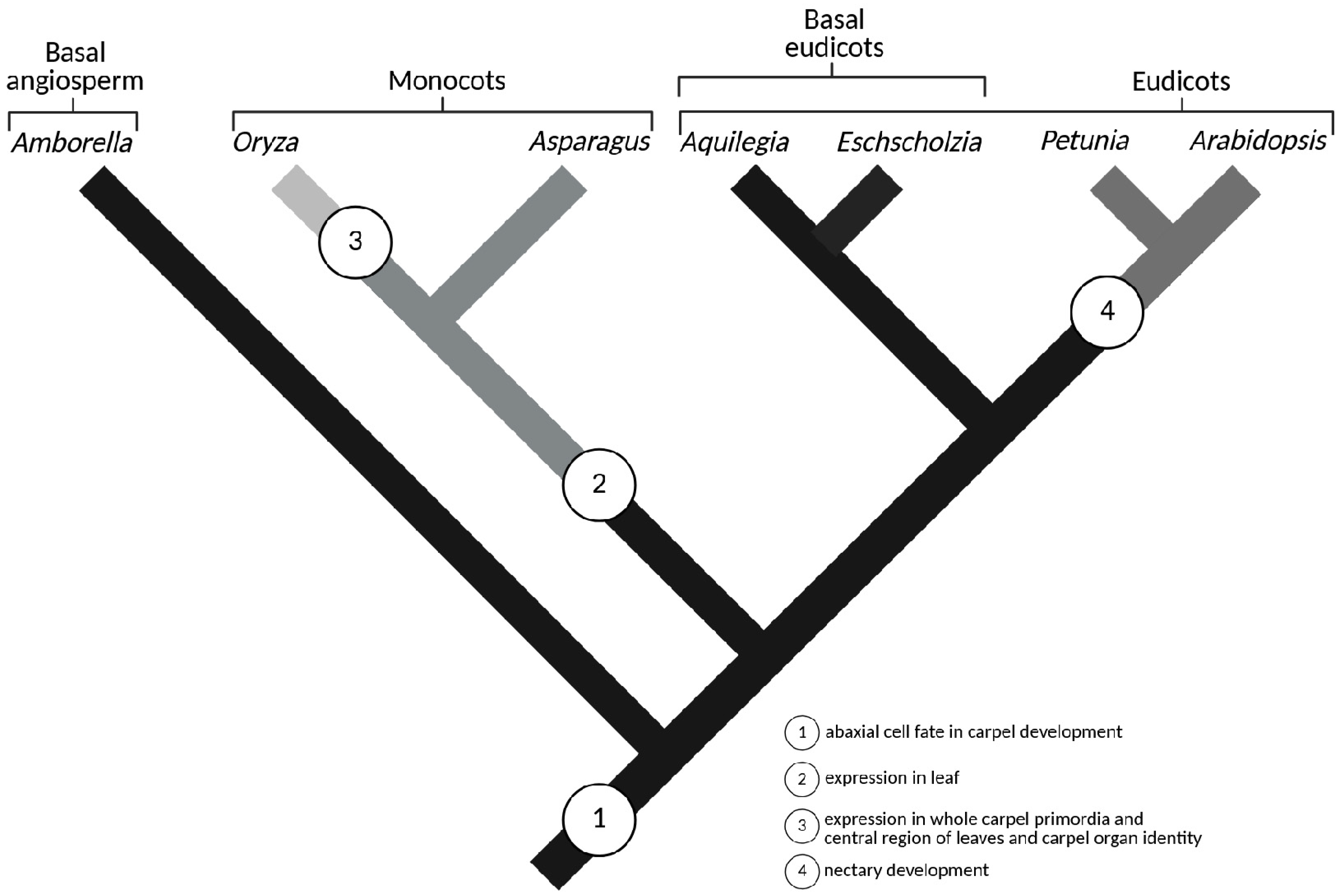 Ijms 26 09377 g008 Ijms 26 09377 g008