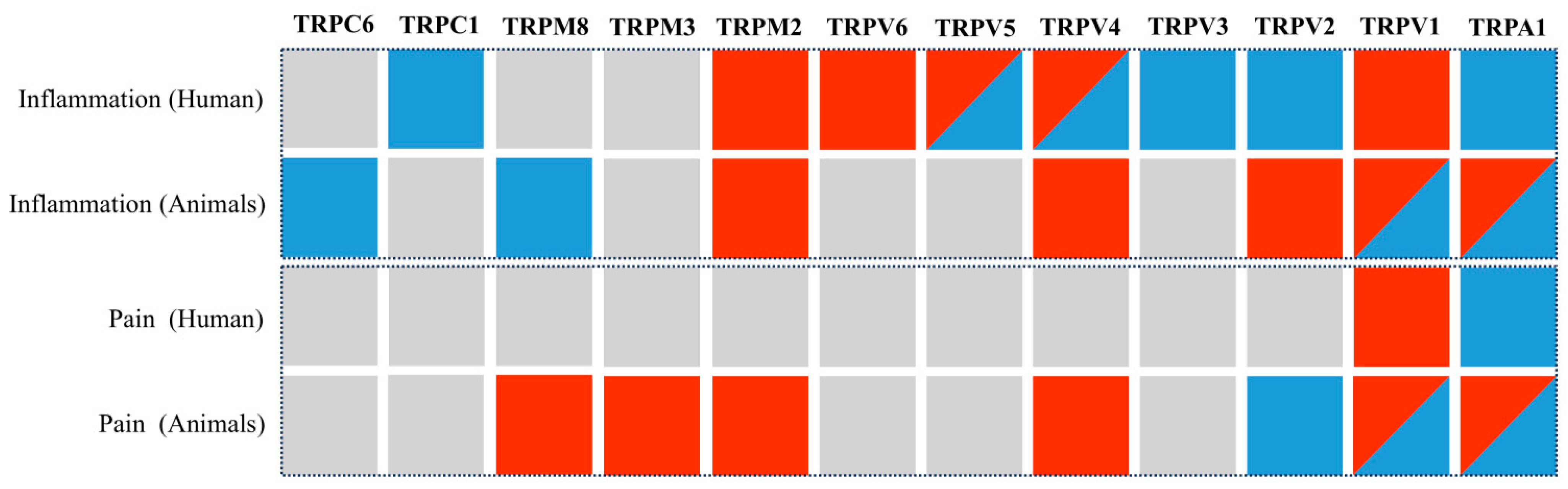Ijms 26 09390 g005 Ijms 26 09390 g005