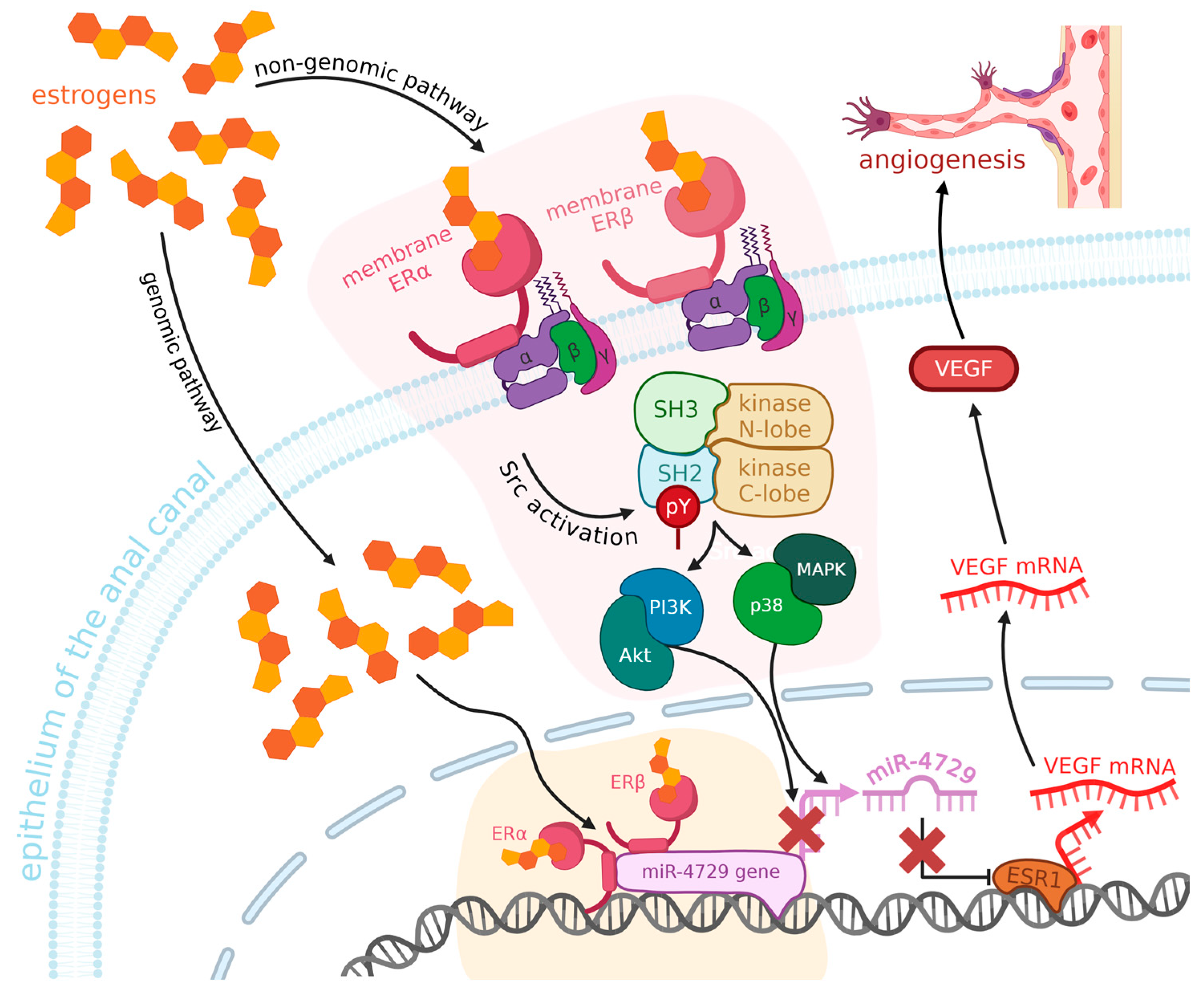 Ijms 26 09394 g003 Ijms 26 09394 g003