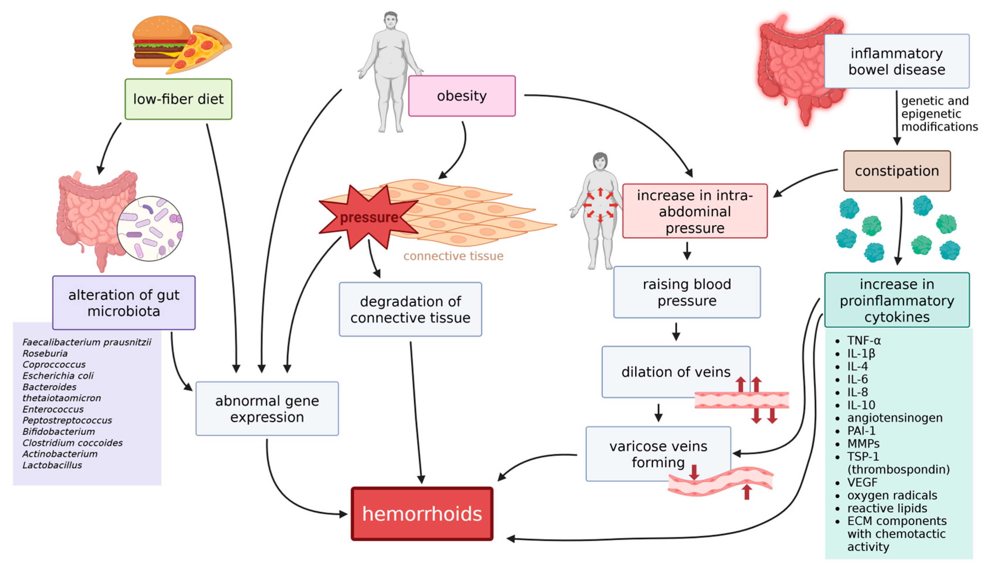 Ijms 26 09394 g004 Ijms 26 09394 g004