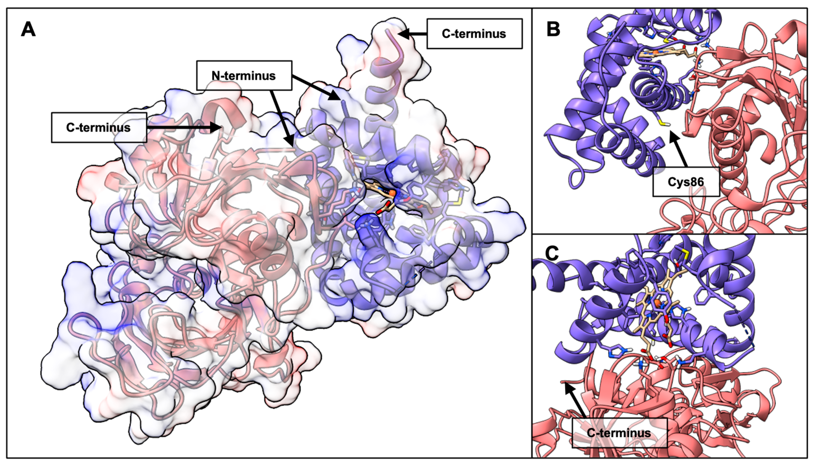 Ijms 26 09404 g006 Ijms 26 09404 g006