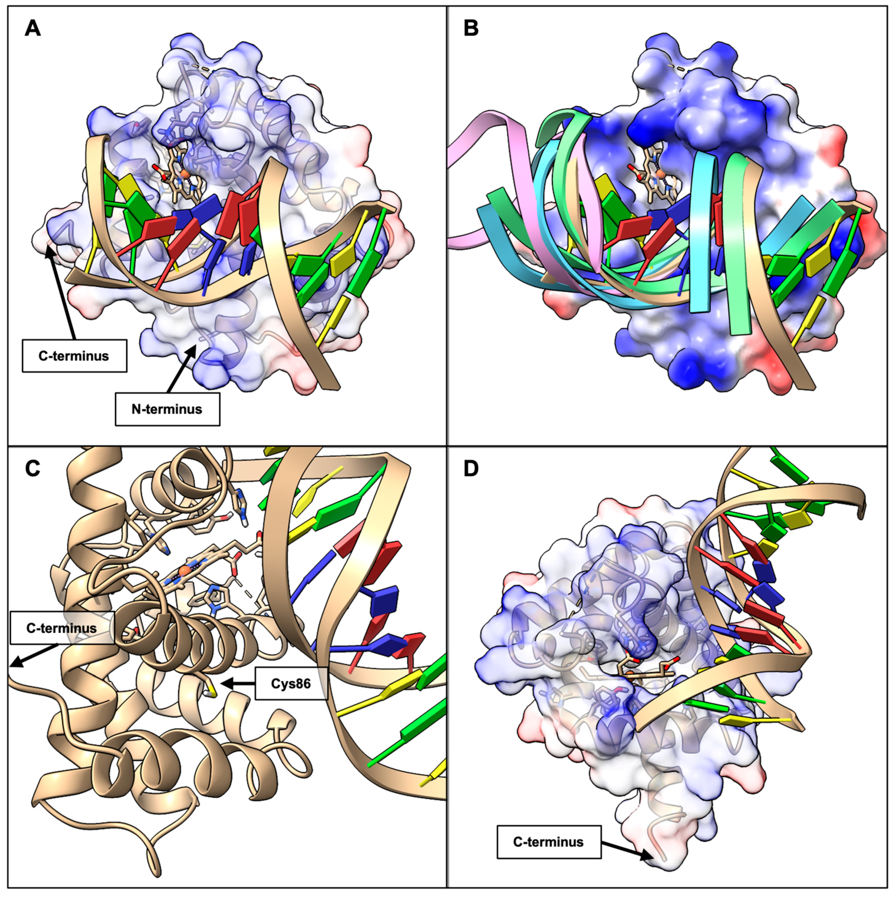 Ijms 26 09404 g010 Ijms 26 09404 g010