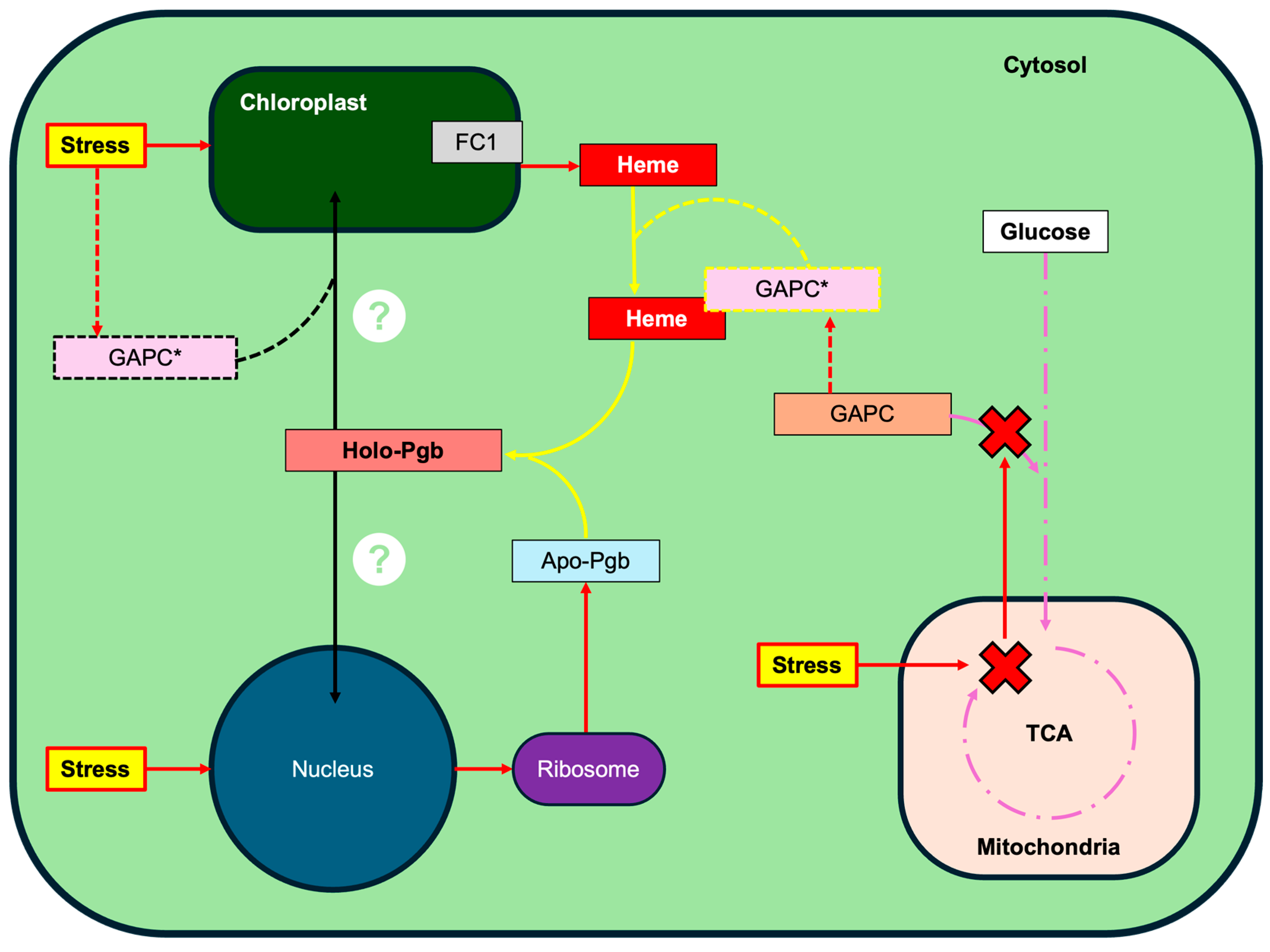 Ijms 26 09404 g012 Ijms 26 09404 g012