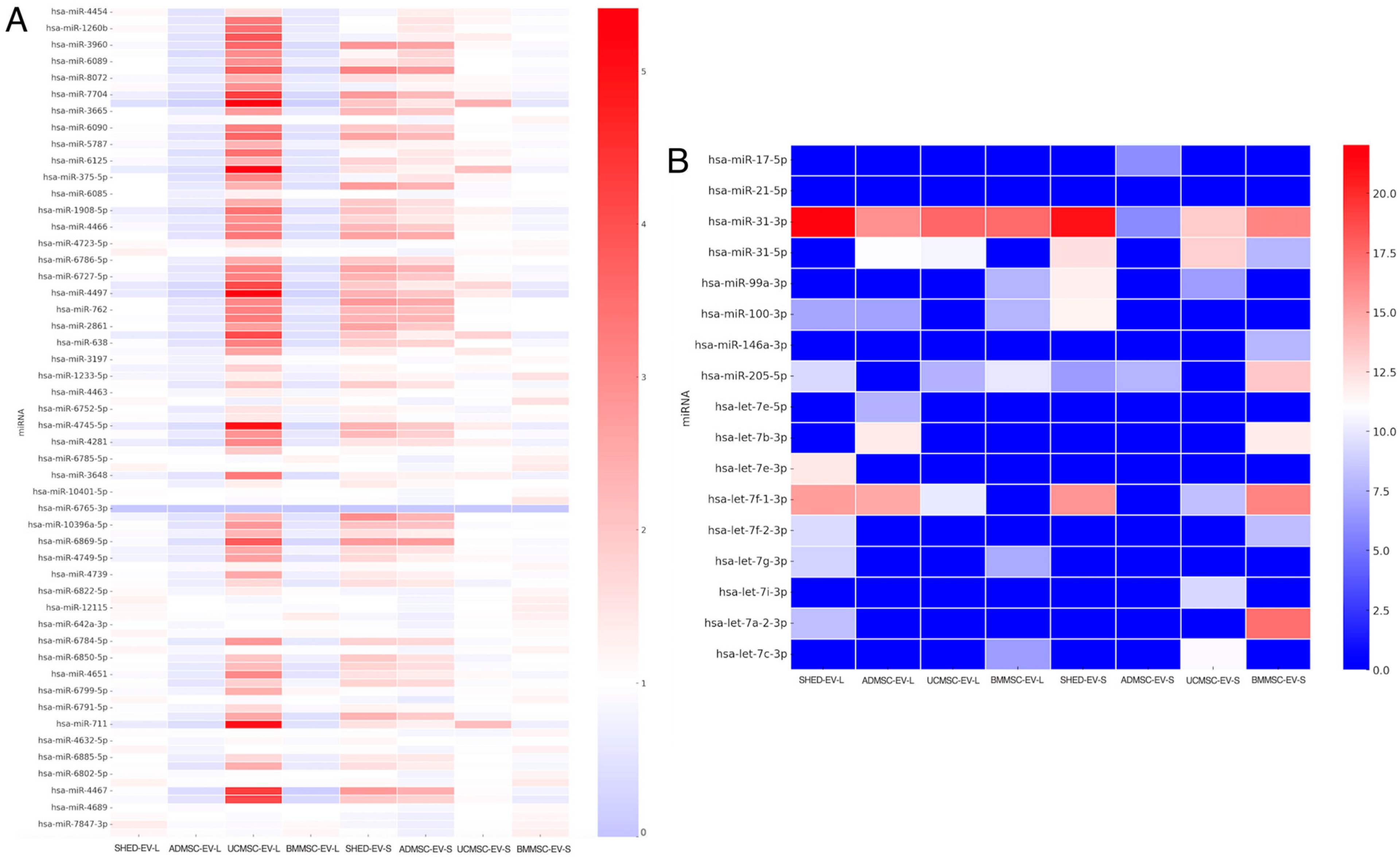 Ijms 26 09412 g001 Ijms 26 09412 g001