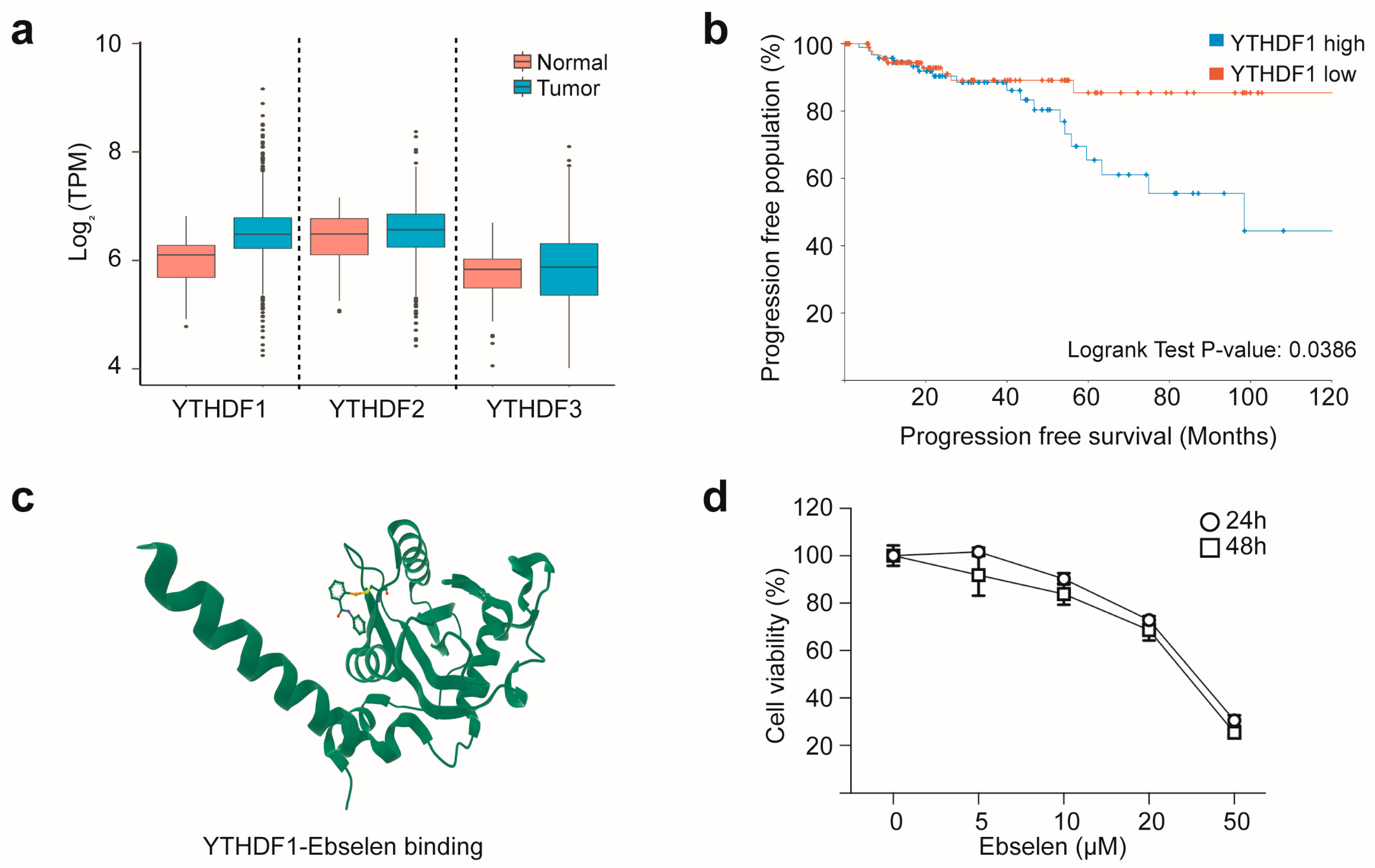 Ijms 26 09416 g001 Ijms 26 09416 g001