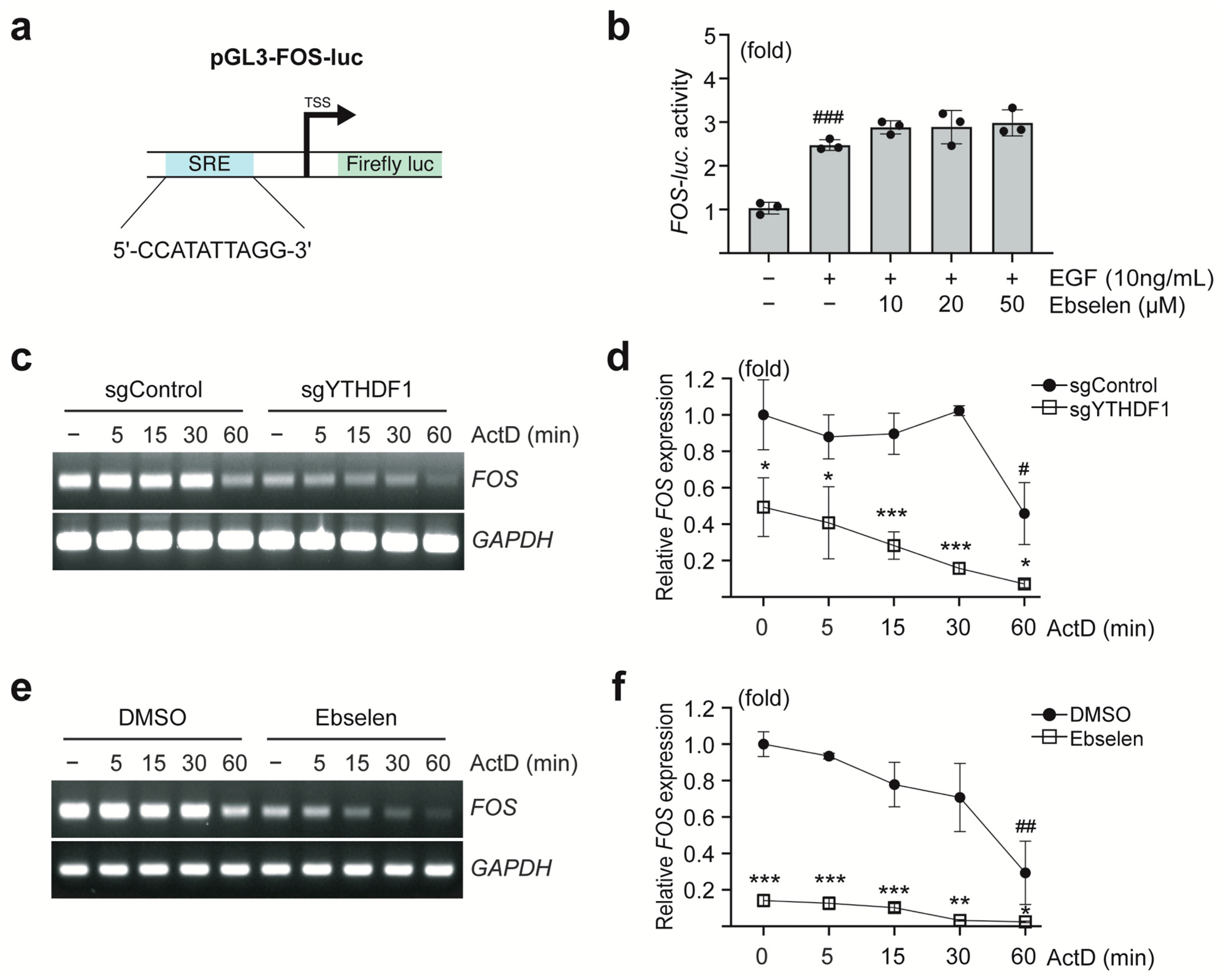 Ijms 26 09416 g003 Ijms 26 09416 g003