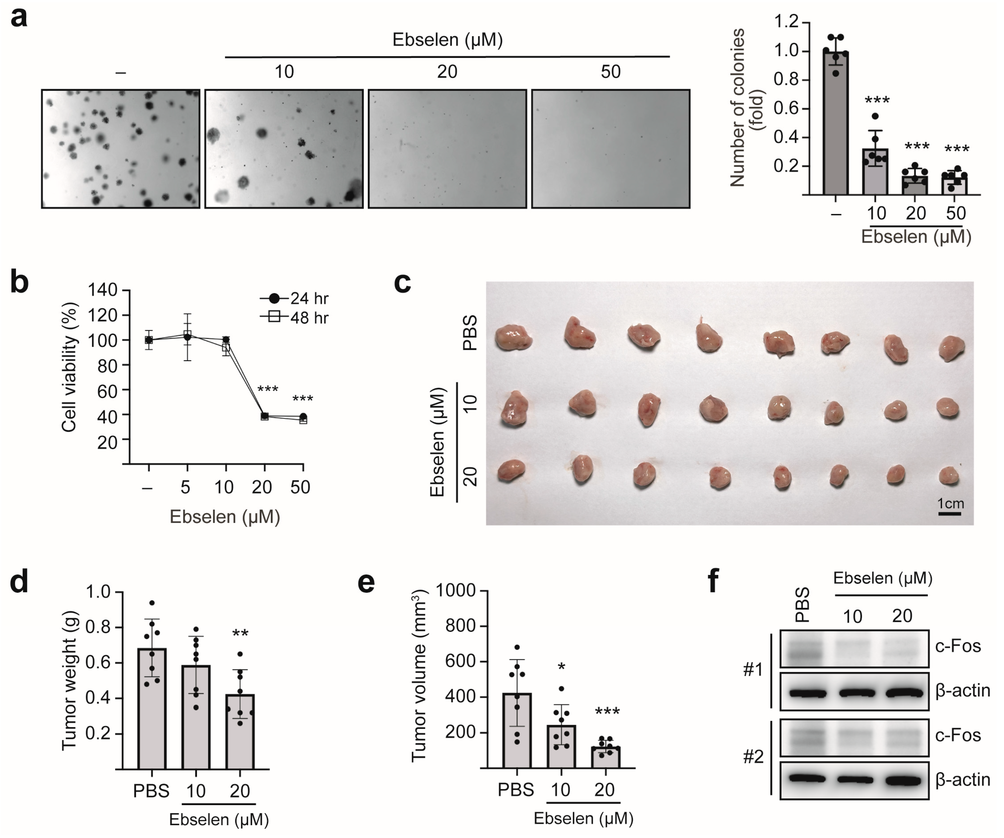 Ijms 26 09416 g006 Ijms 26 09416 g006