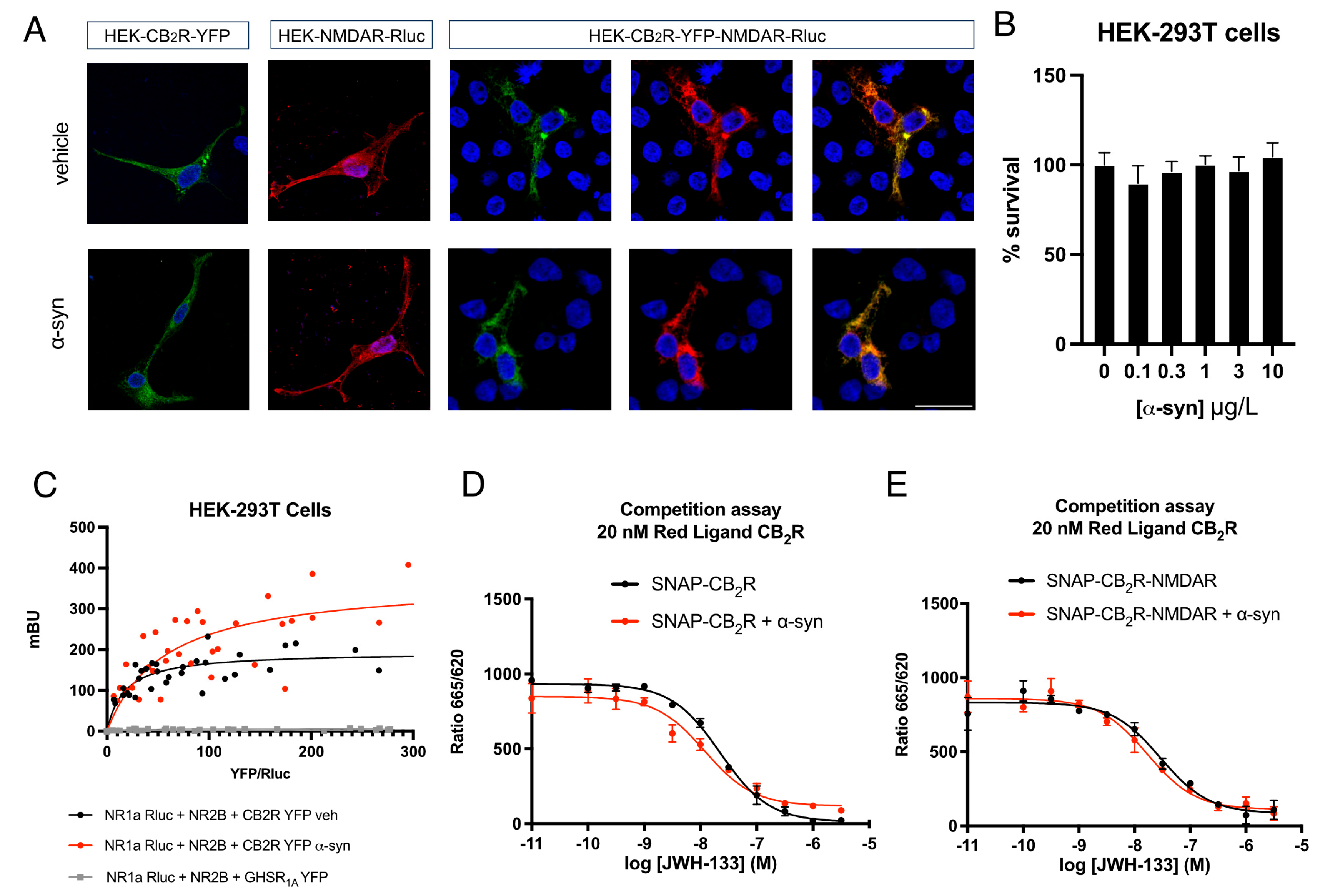 Ijms 26 09419 g001 Ijms 26 09419 g001