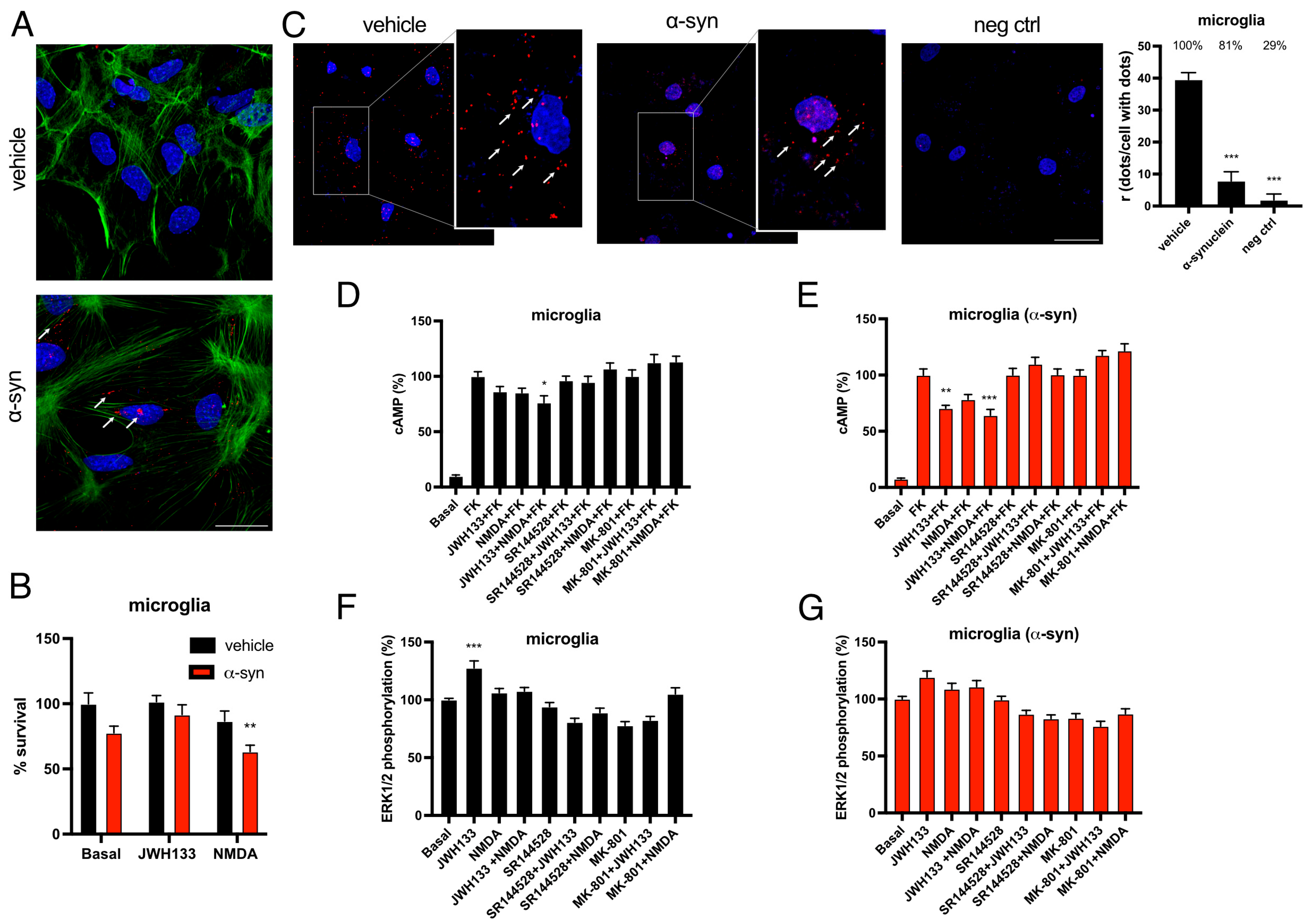 Ijms 26 09419 g004 Ijms 26 09419 g004
