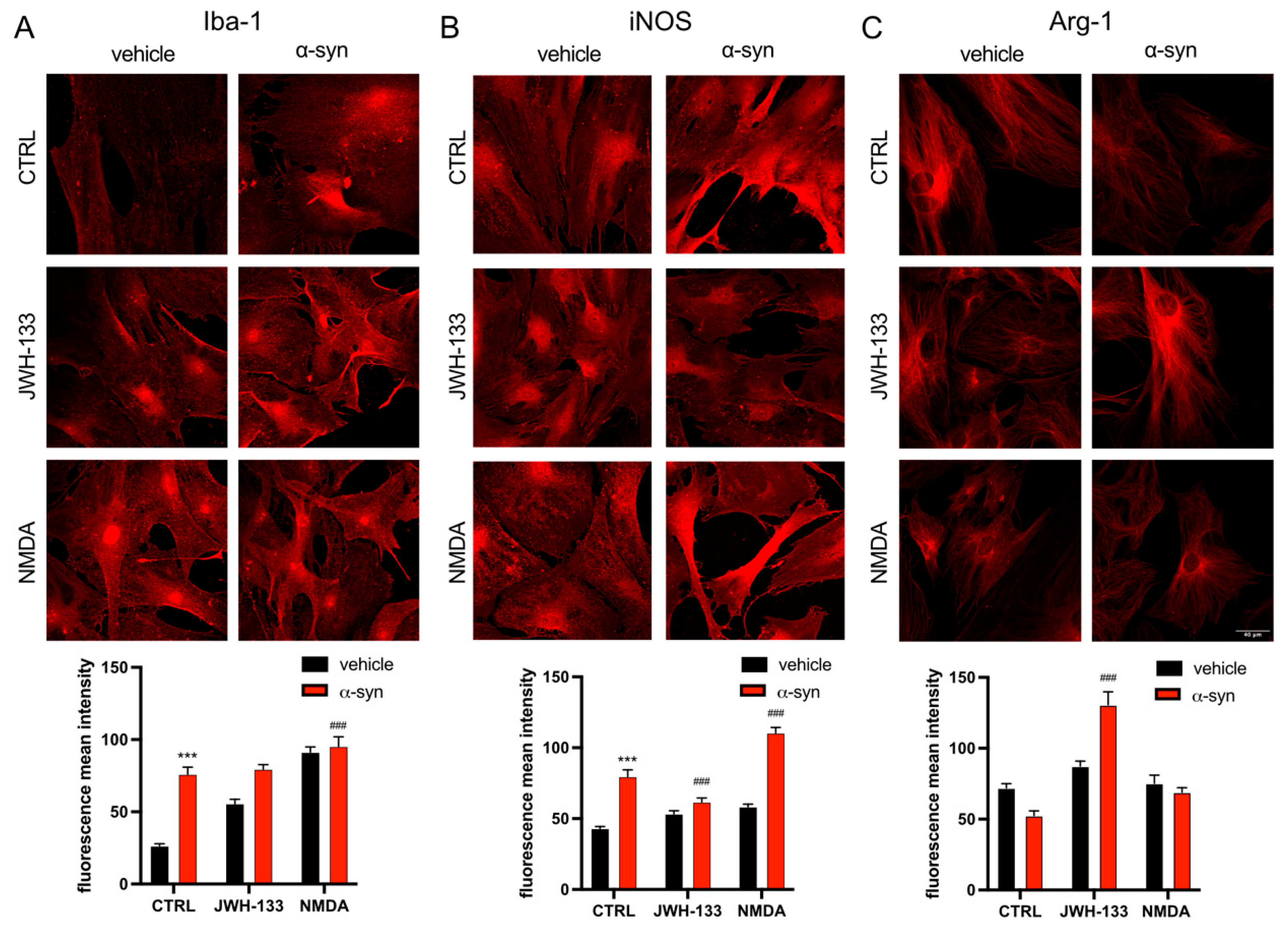 Ijms 26 09419 g005 Ijms 26 09419 g005