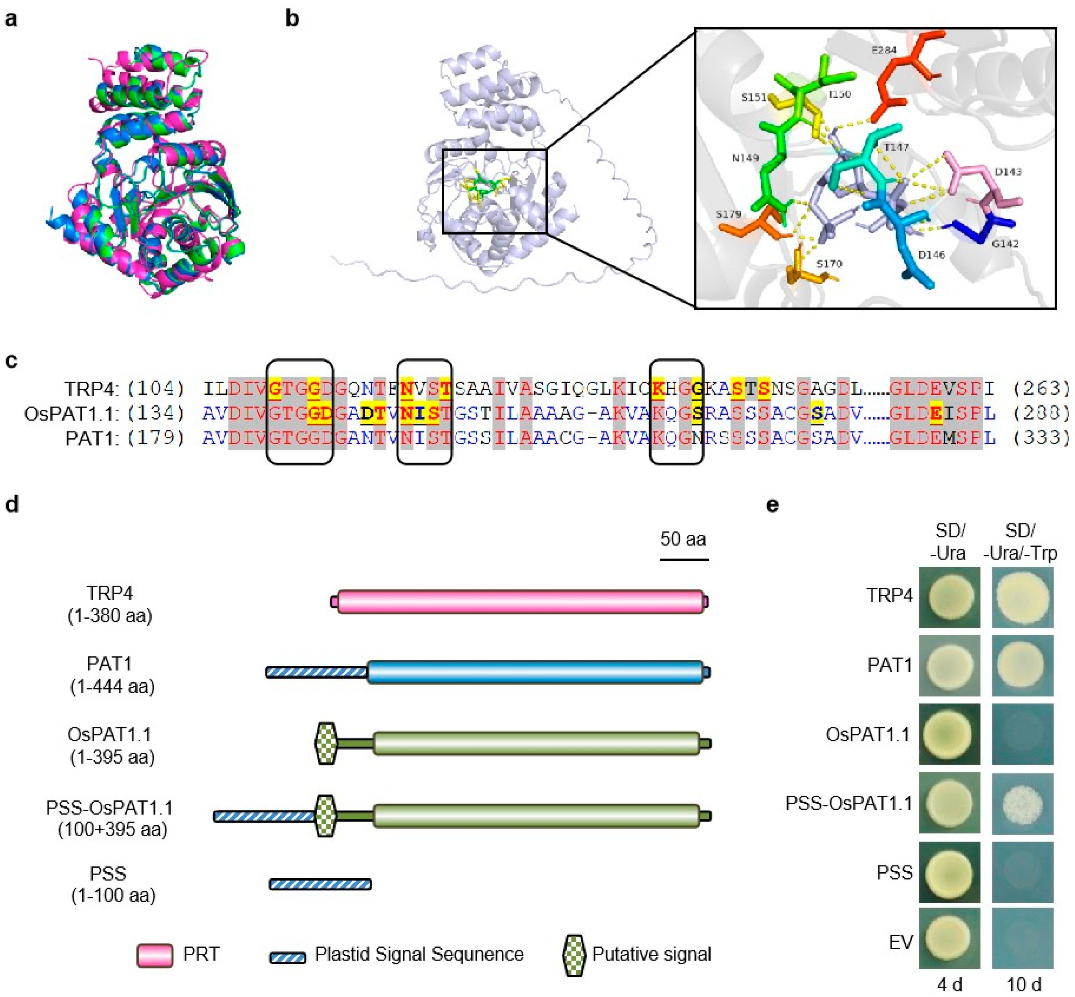 Ijms 26 09428 g004 Ijms 26 09428 g004