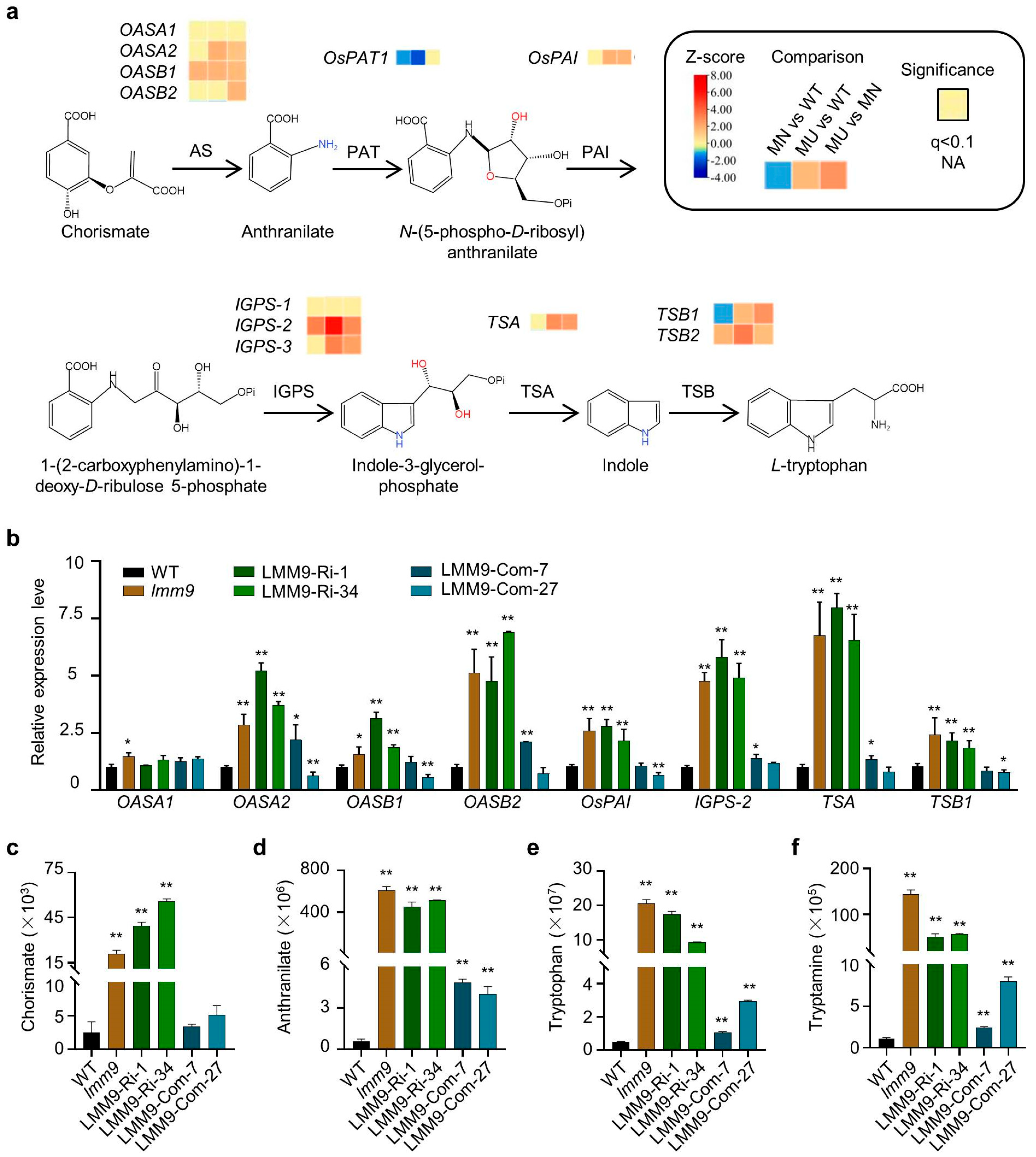 Ijms 26 09428 g006 Ijms 26 09428 g006