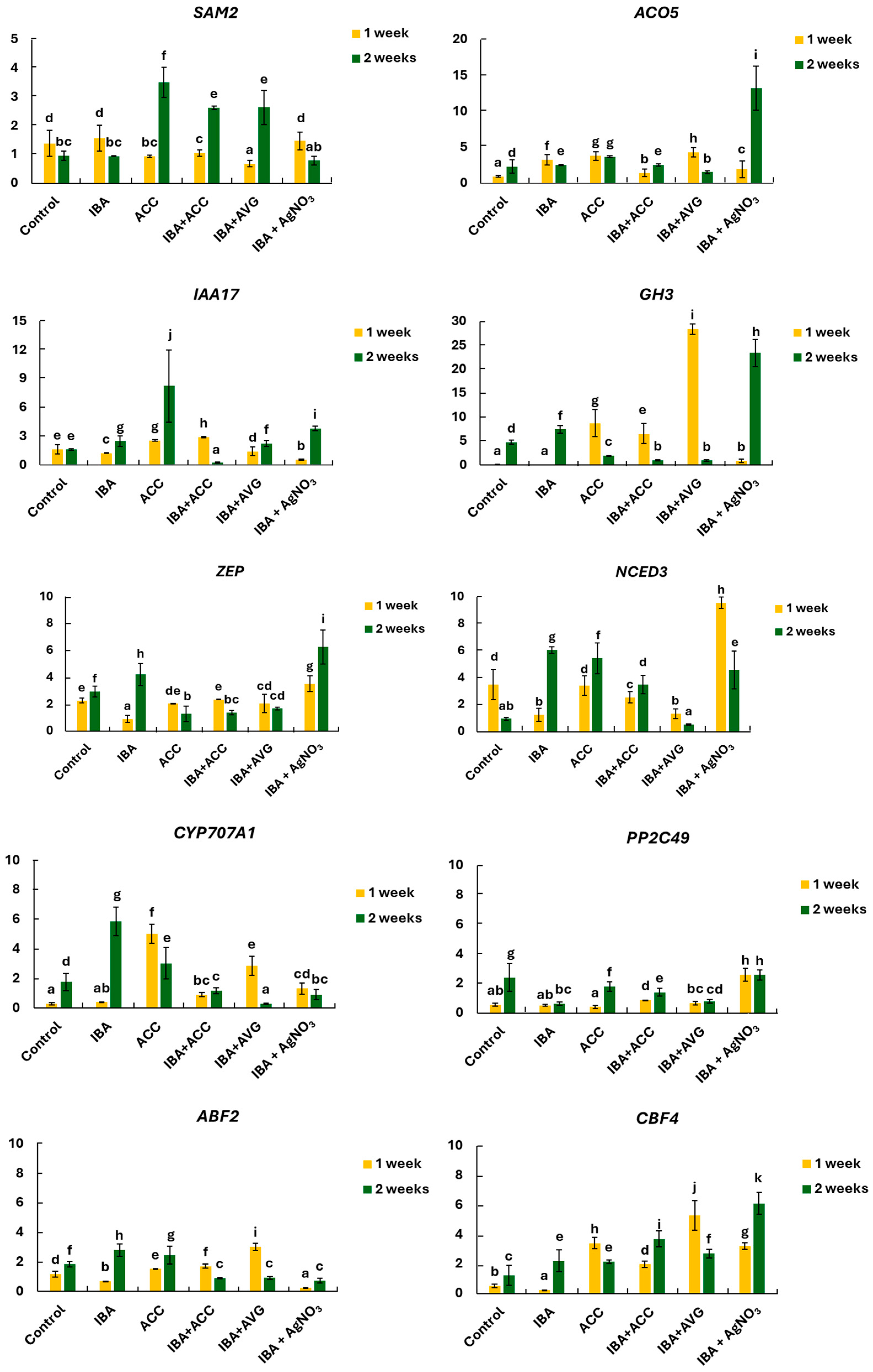 Ijms 26 09429 g005 Ijms 26 09429 g005