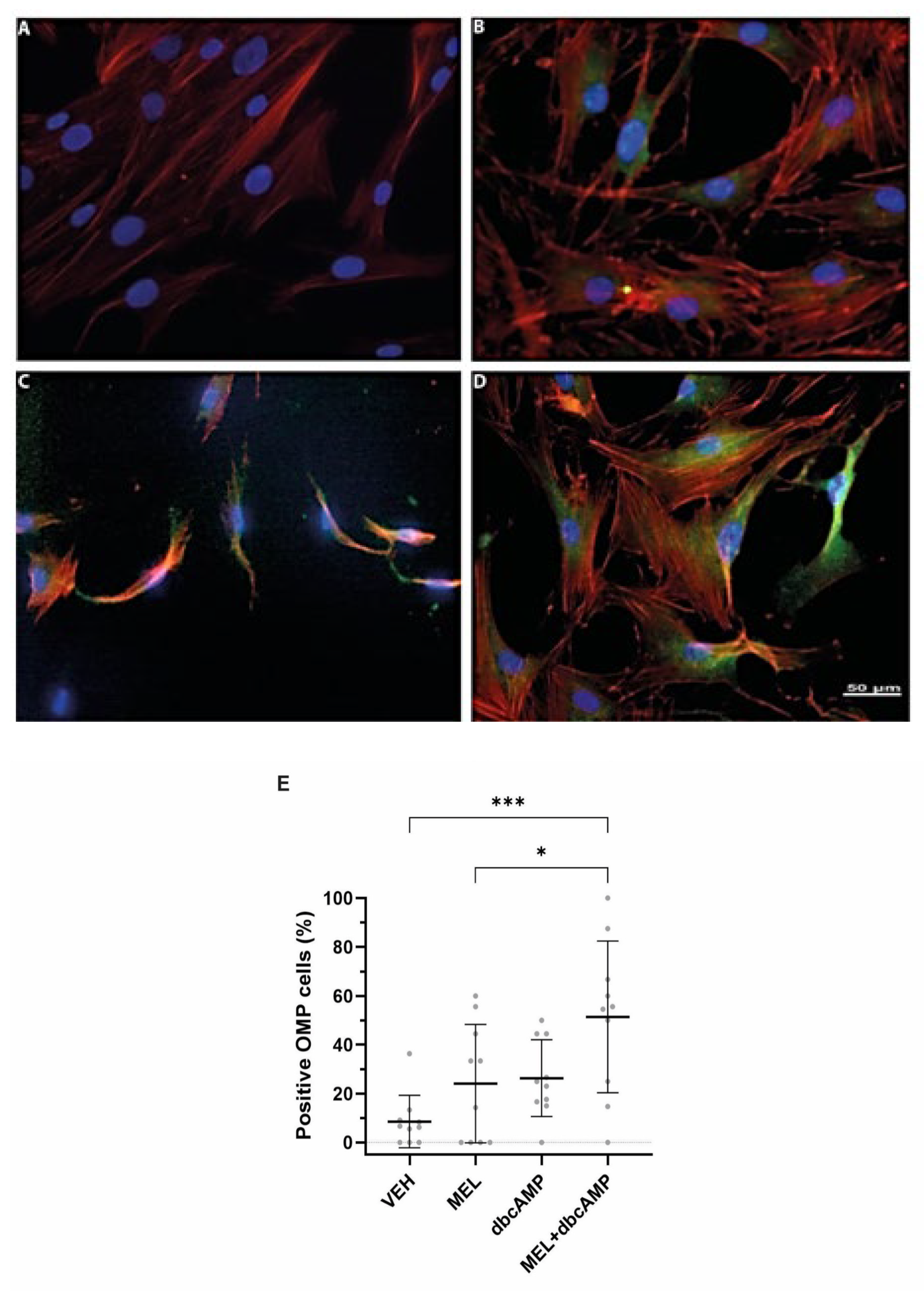 Ijms 26 09435 g001 Ijms 26 09435 g001