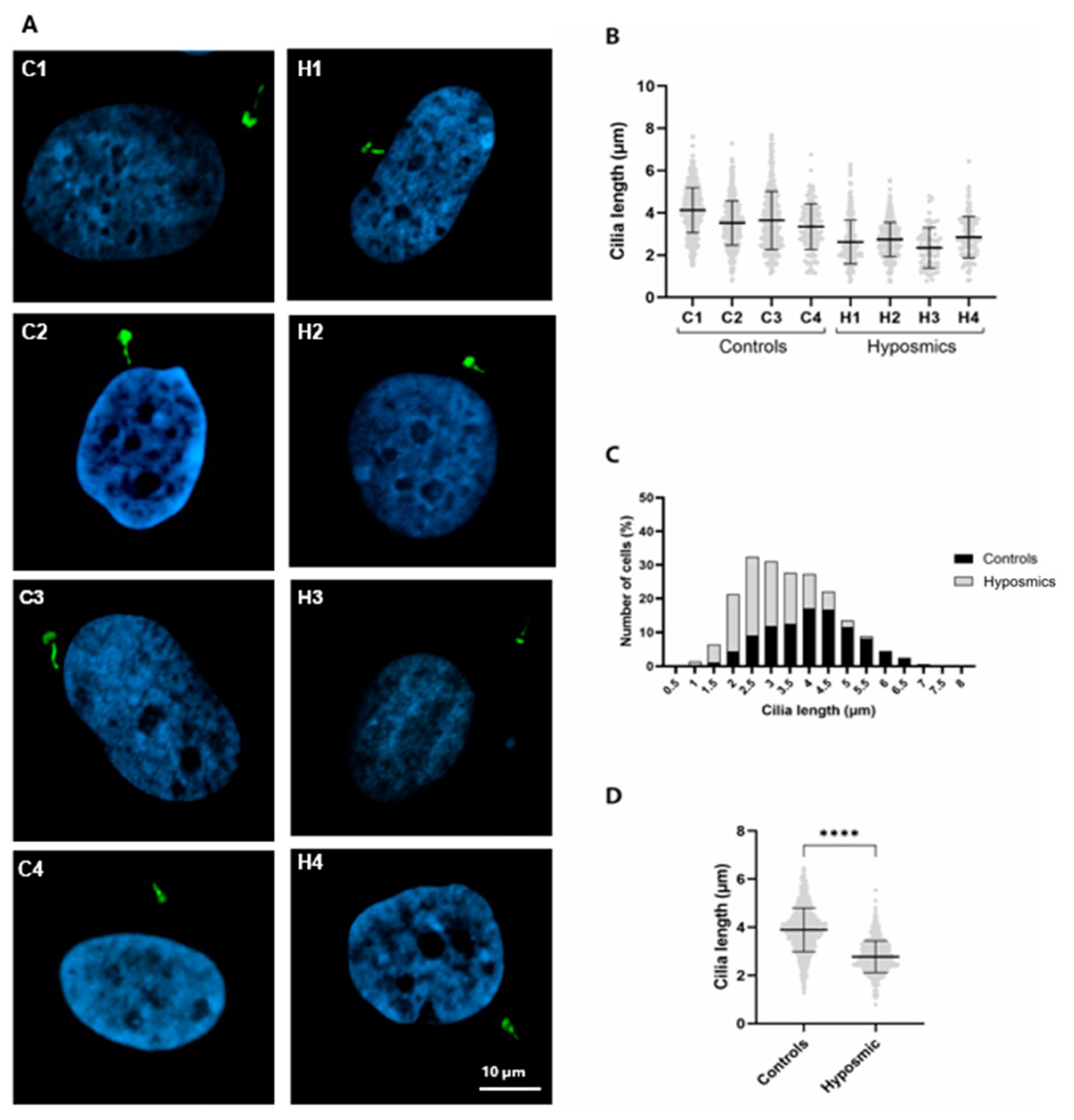 Ijms 26 09435 g005 Ijms 26 09435 g005