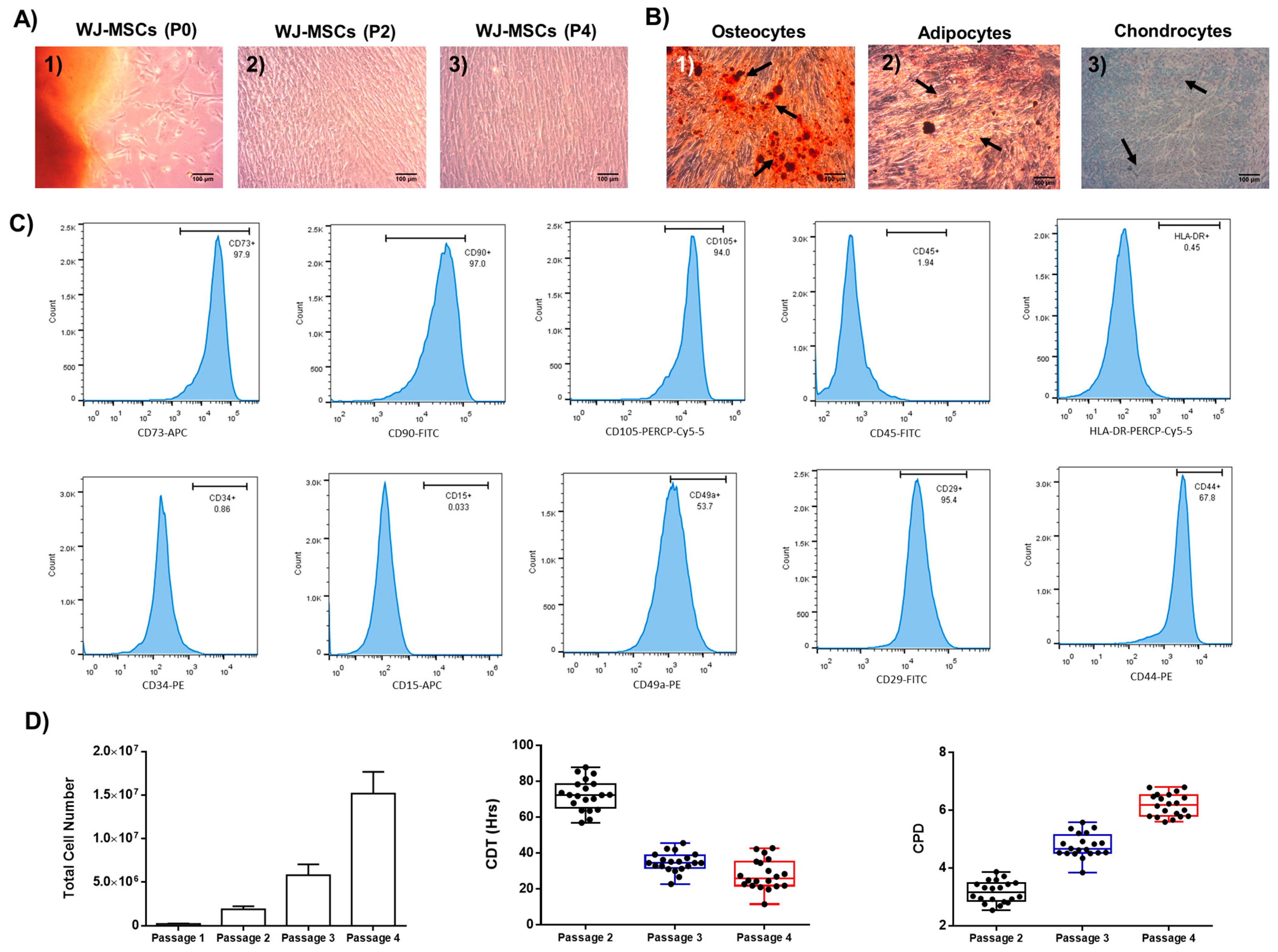 Ijms 26 09436 g001 Ijms 26 09436 g001