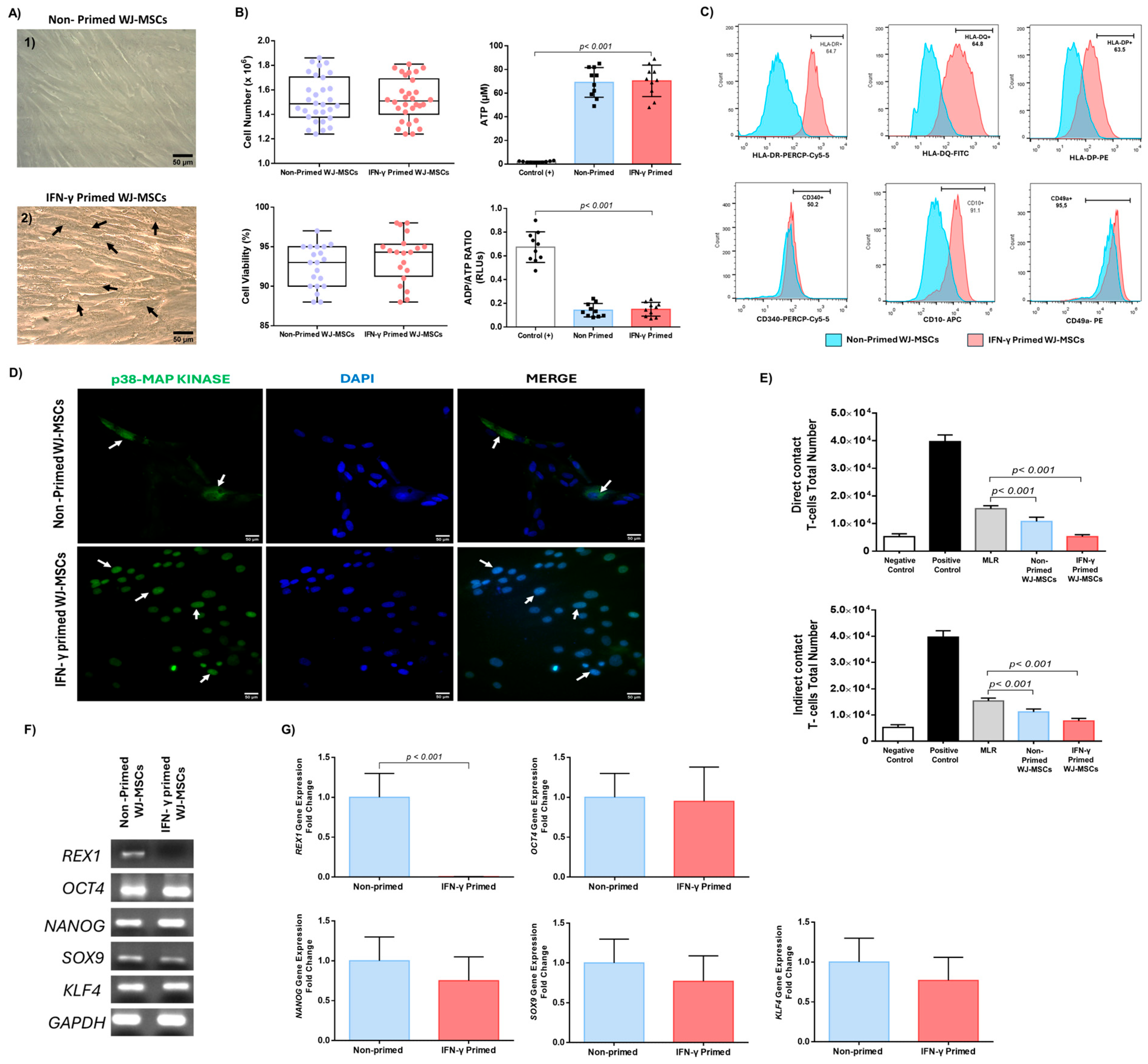 Ijms 26 09436 g002 Ijms 26 09436 g002
