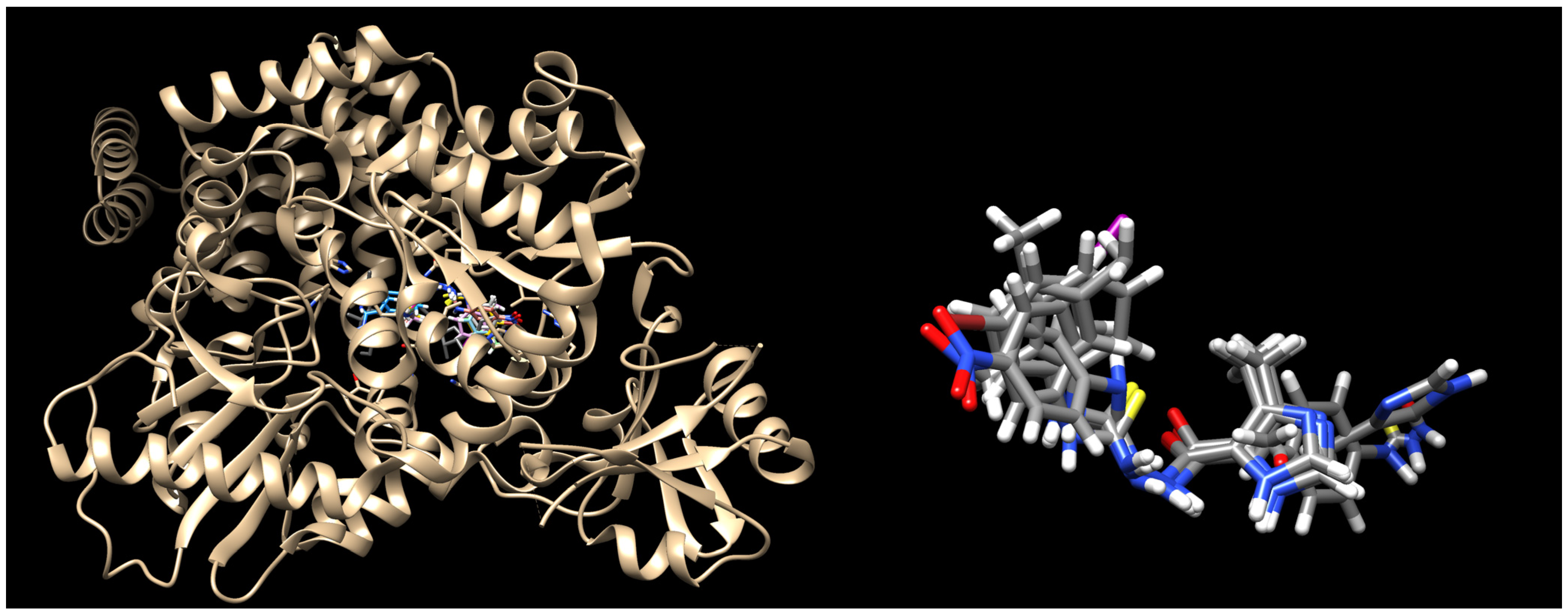 Ijms 26 09437 g003 Ijms 26 09437 g003