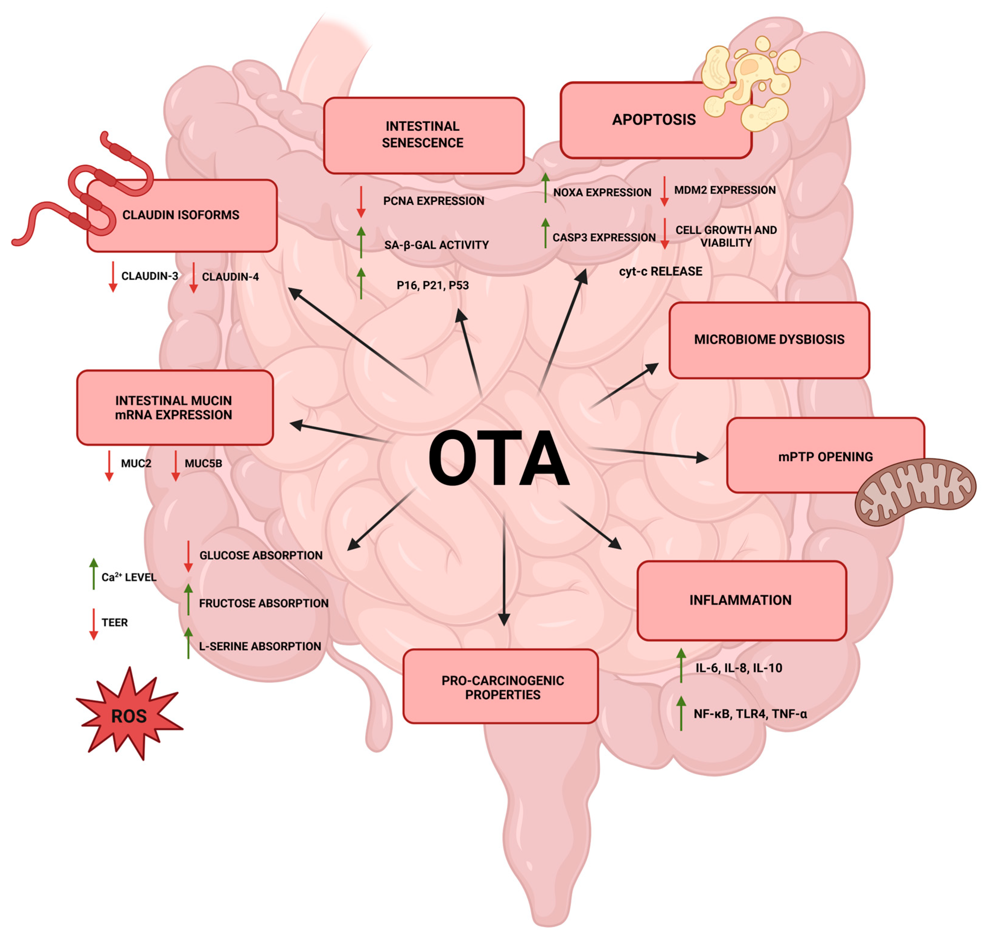 Ijms 26 09438 g001 Ijms 26 09438 g001