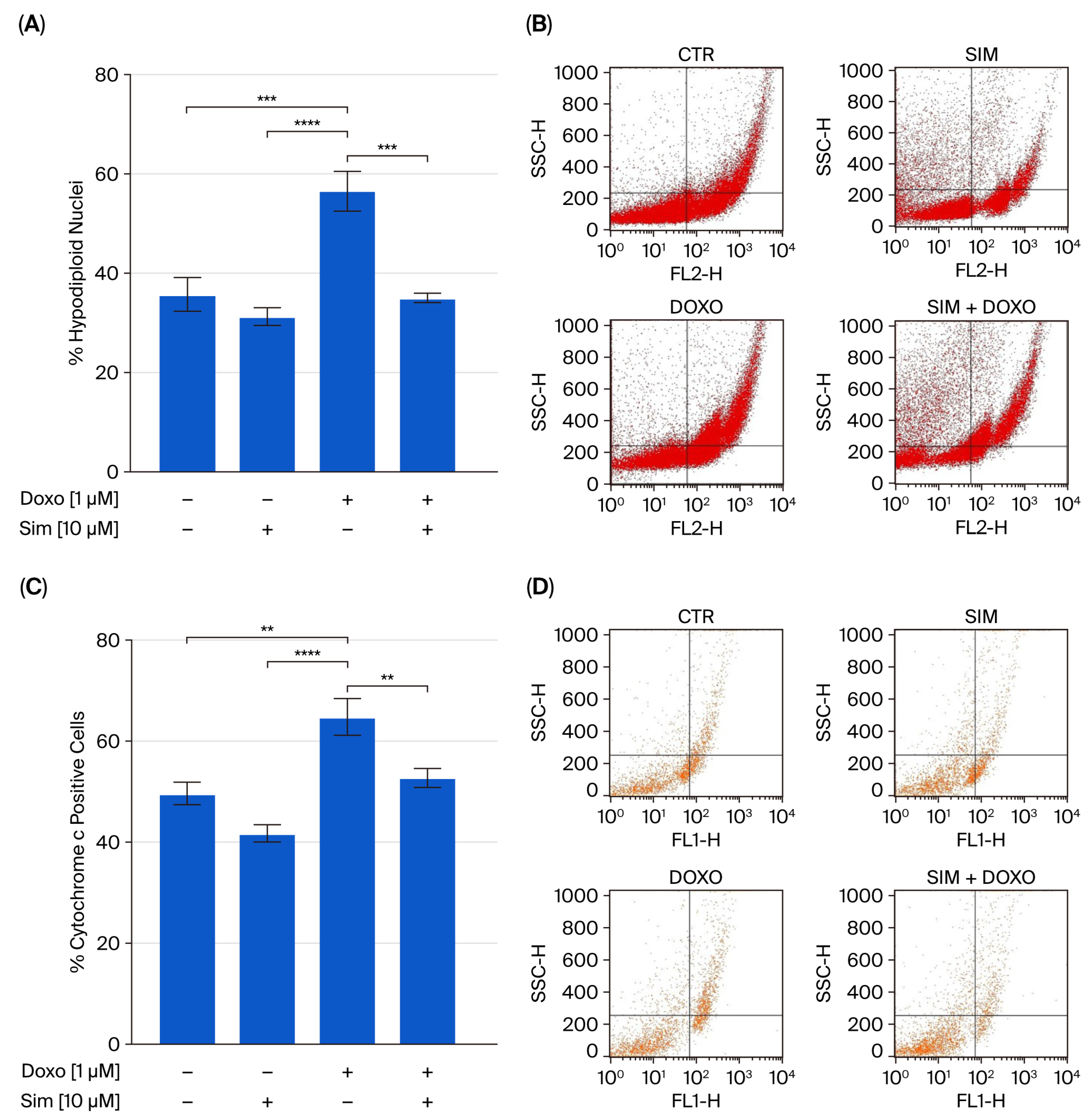 Ijms 26 09440 g004 Ijms 26 09440 g004